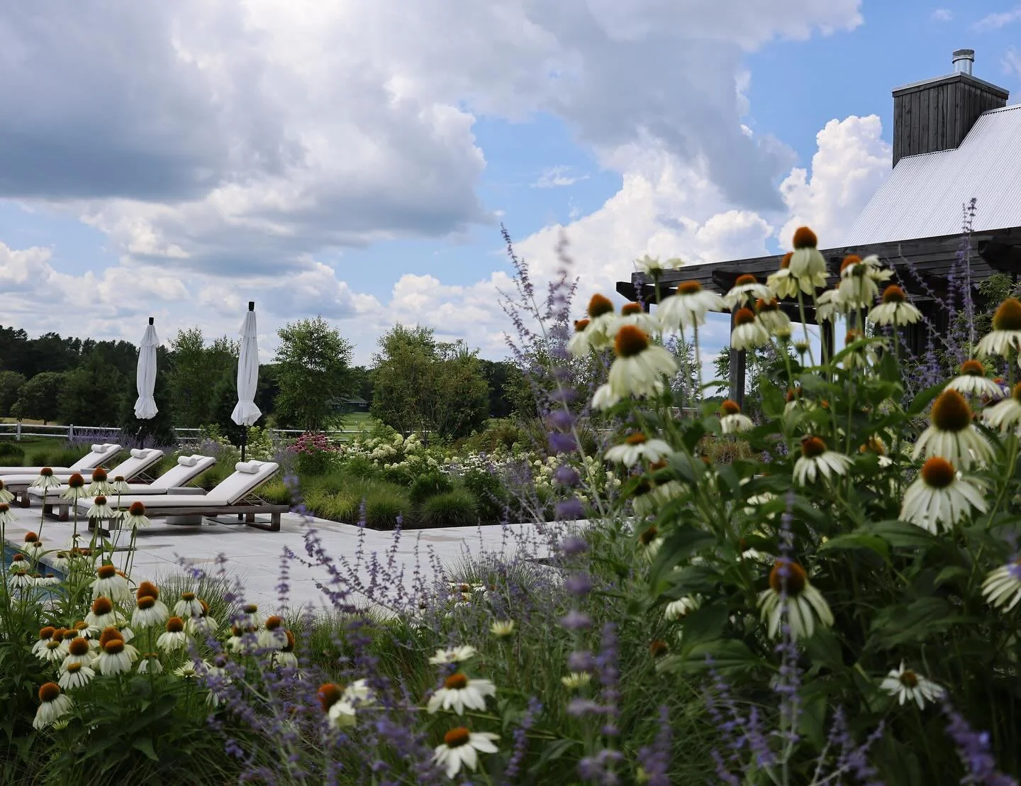 If we&rsquo;re not going to get any rain, these cooler mornings are a welcome change. The cool season grasses are reaching up for their last push of the year, and our borders are gracefully turning into an important food source for birds before winte