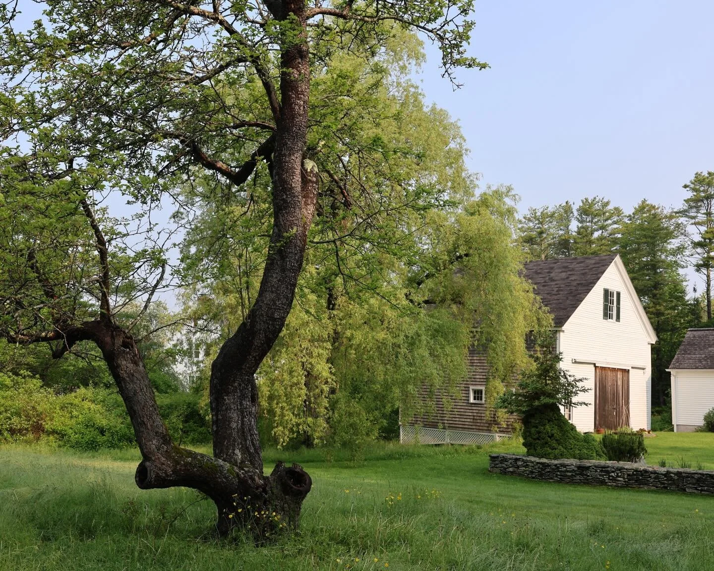 28 degrees felt balmy yesterday after a stretch of colder weather. Almost makes you want to look ahead to greener days like this&hellip;