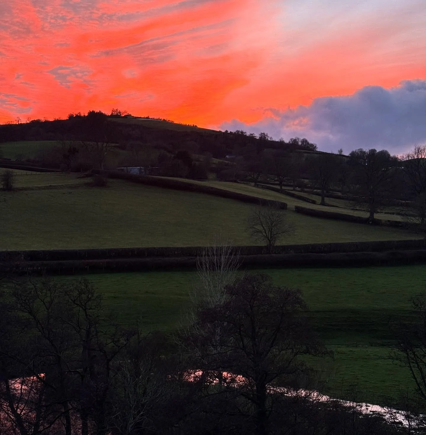 A whirlwind day en route to Manchester for the @wildinggardens conference. Jet lag, narrow roads, and a Shropshire sunset.