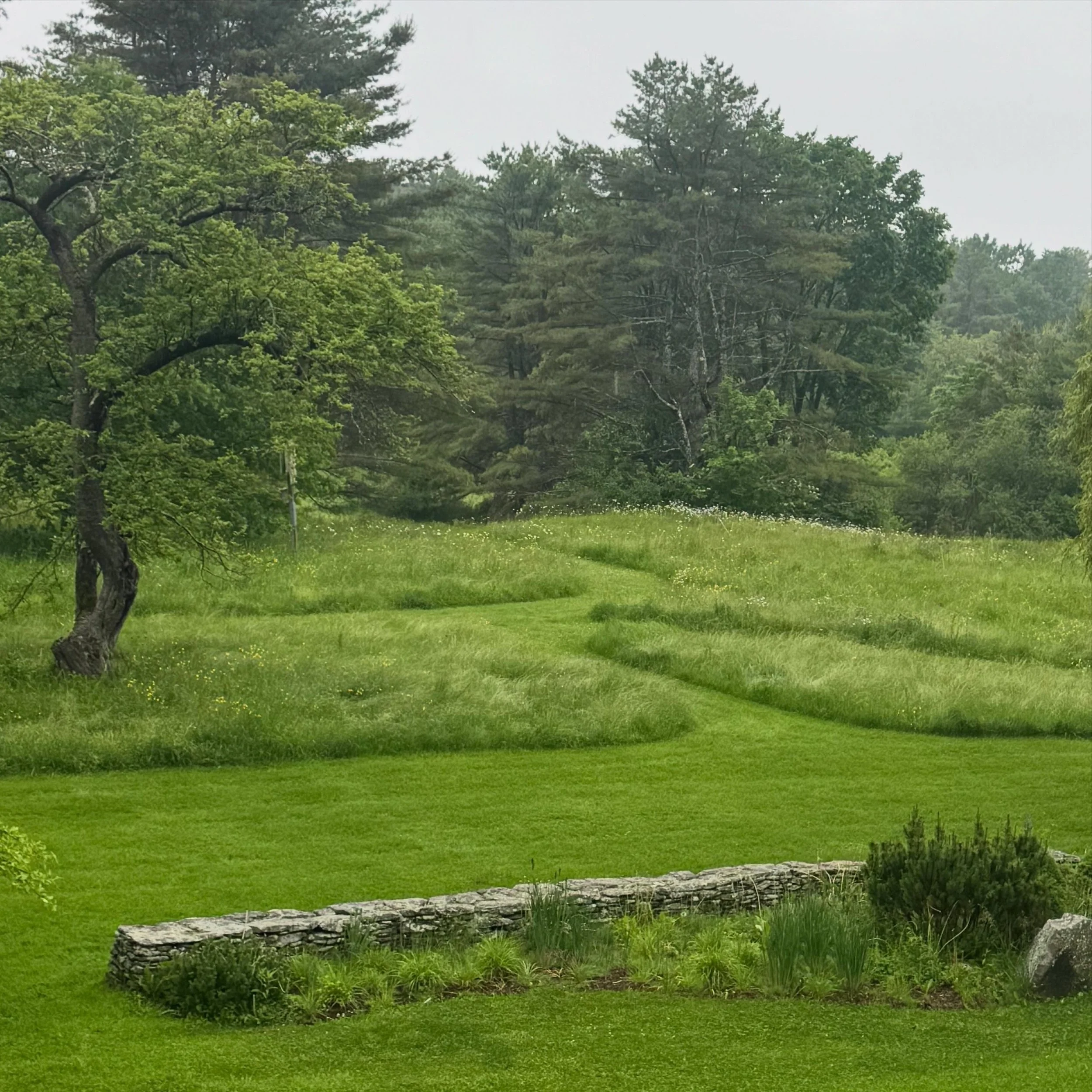 Please expect another 3-4 posts of this exact camera angle this year. Can&rsquo;t get enough of our Pennellville meadow as it changes through the seasons.