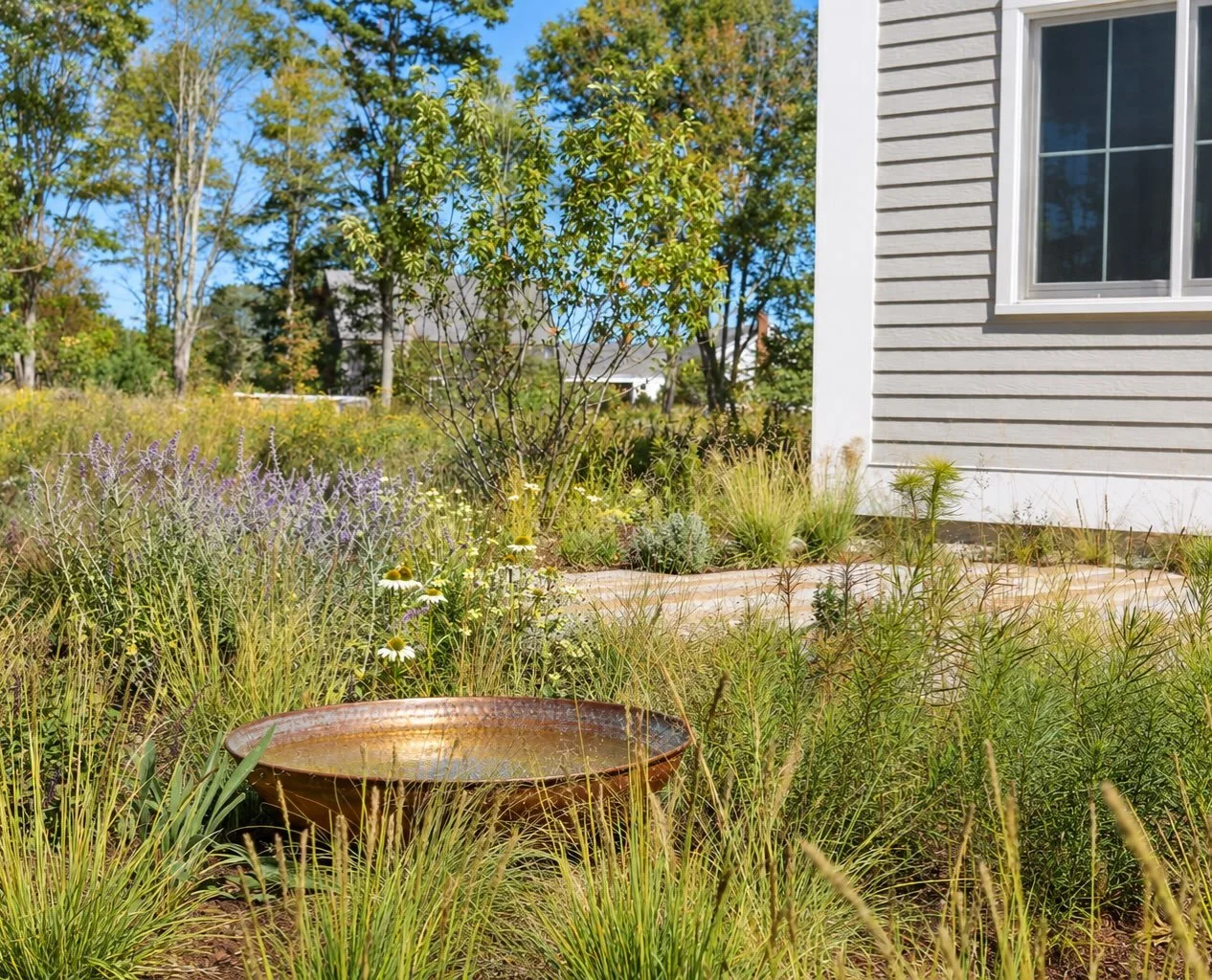 File it under: creative ways to cover a septic tank. 

2 month old garden starting to shine in Harpswell