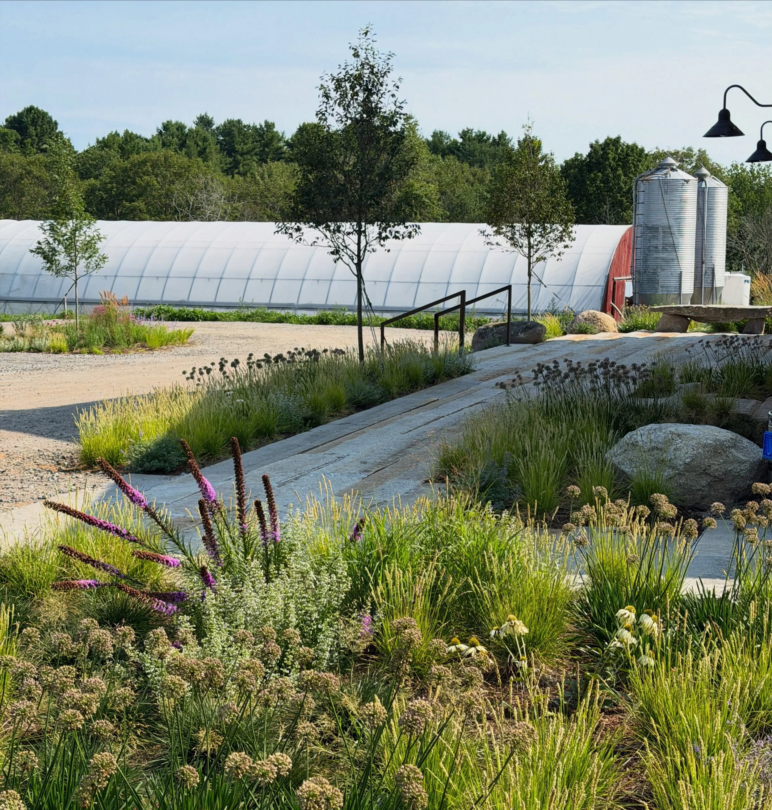 Eager to see this space evolve into its second season. A hot, dry first summer for @broadarrowfarm , but all is establishing beautifully with @ablicki &lsquo;s stewardship. 

Planting Design &amp; Install: @gbr_landscape 
Master Planning: @cdladesign
