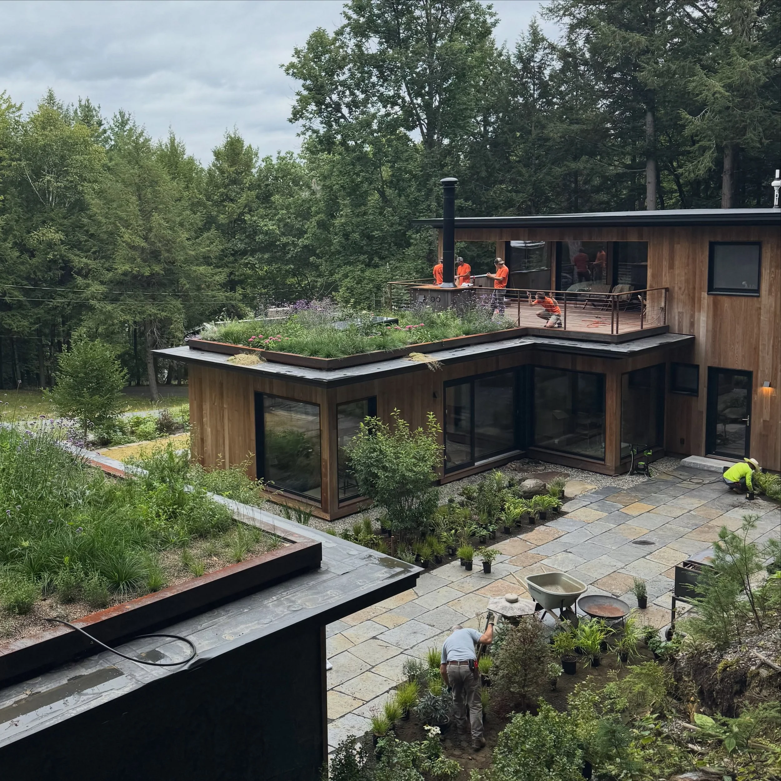 Planting day in New Hampshire. The green roofs have thrived in their first summer, and perennials are going in this week with the cooler September temps.