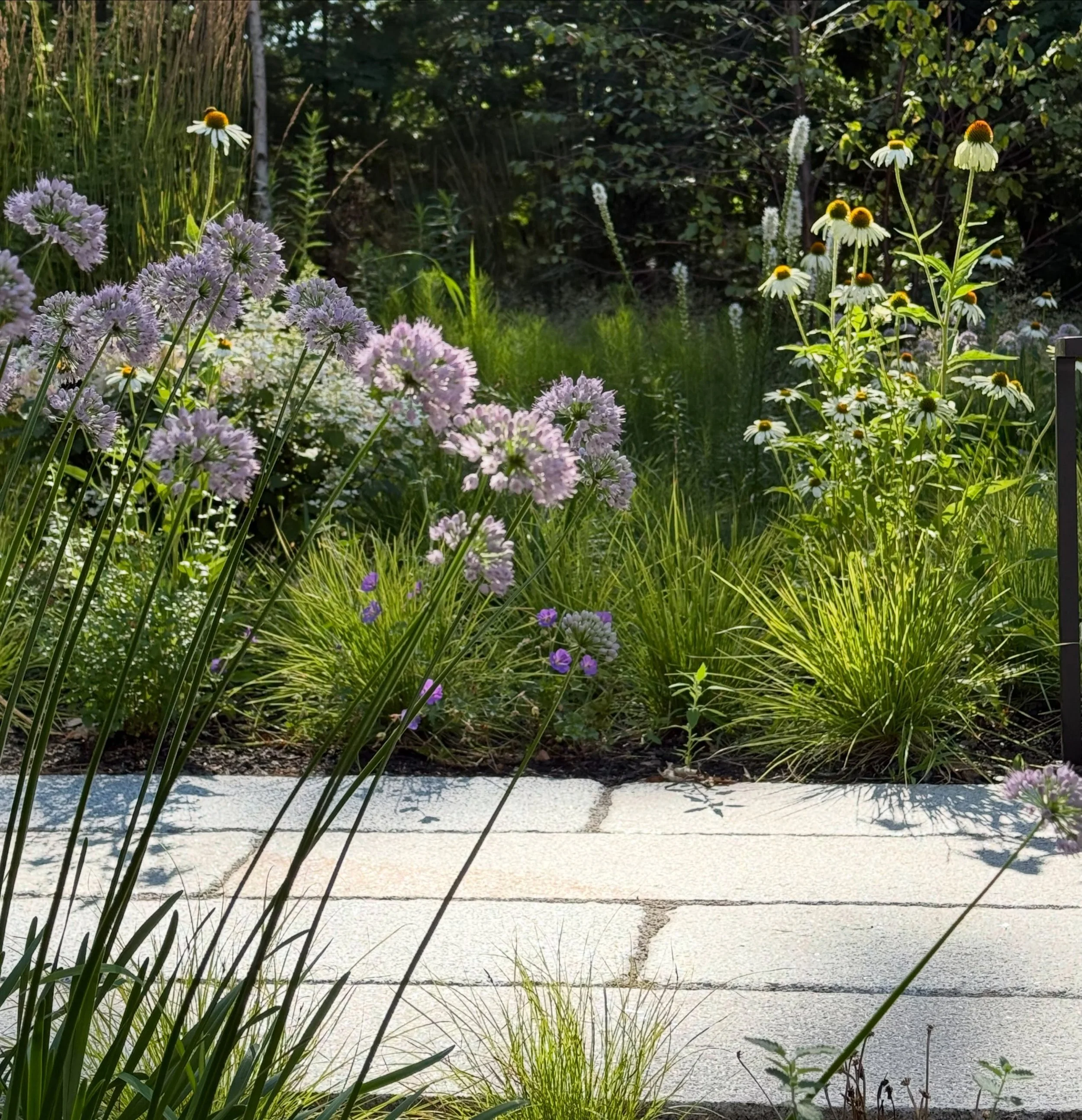 Local granite has a way of tying together the wildest of planting schemes.