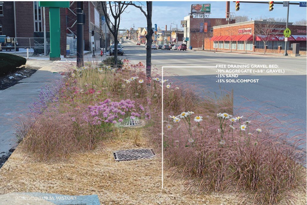 City street sidewalk with a landscaped planting bed featuring flowers and grasses, with a drain and a building in the background.