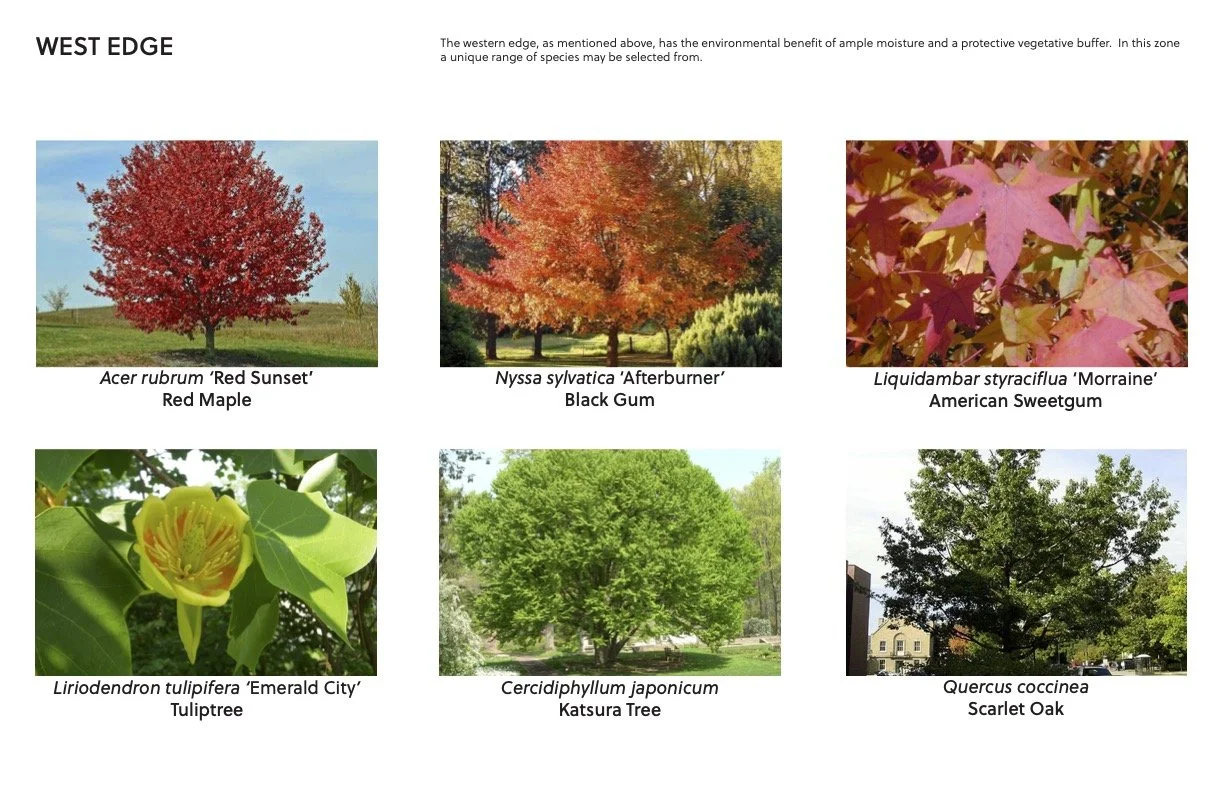 Kendall Tree Selections4.jpg