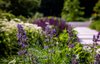 GBR Landscape | Naturalistic Landscape Design