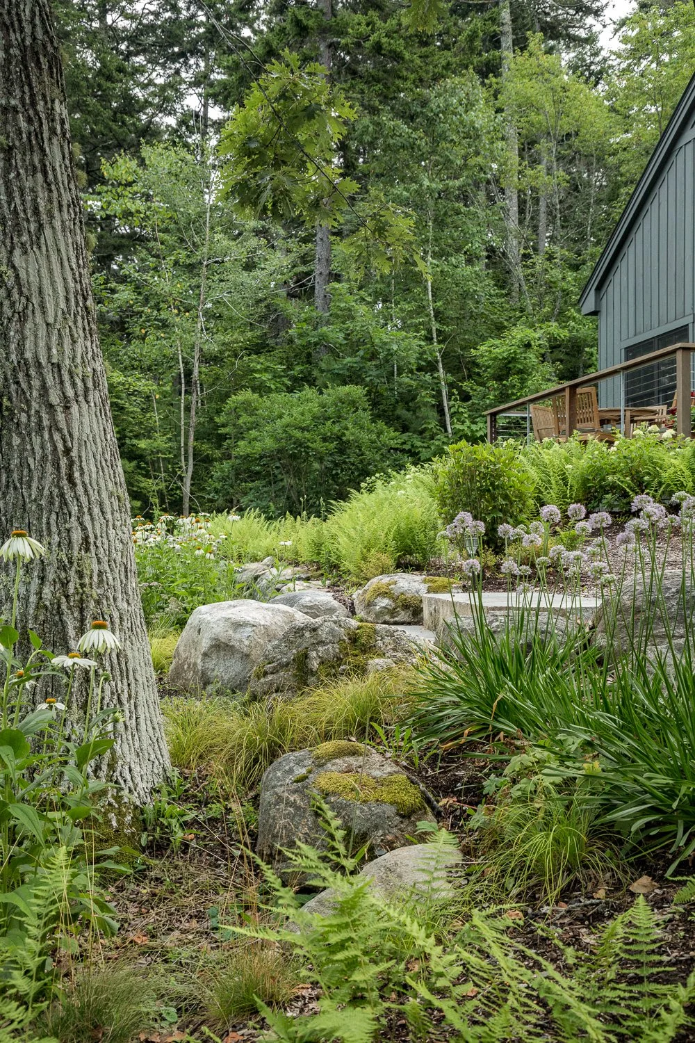 A lush garden with large rocks, green plants, and flowers, with a wooden deck and house in the background, surrounded by tall trees.
