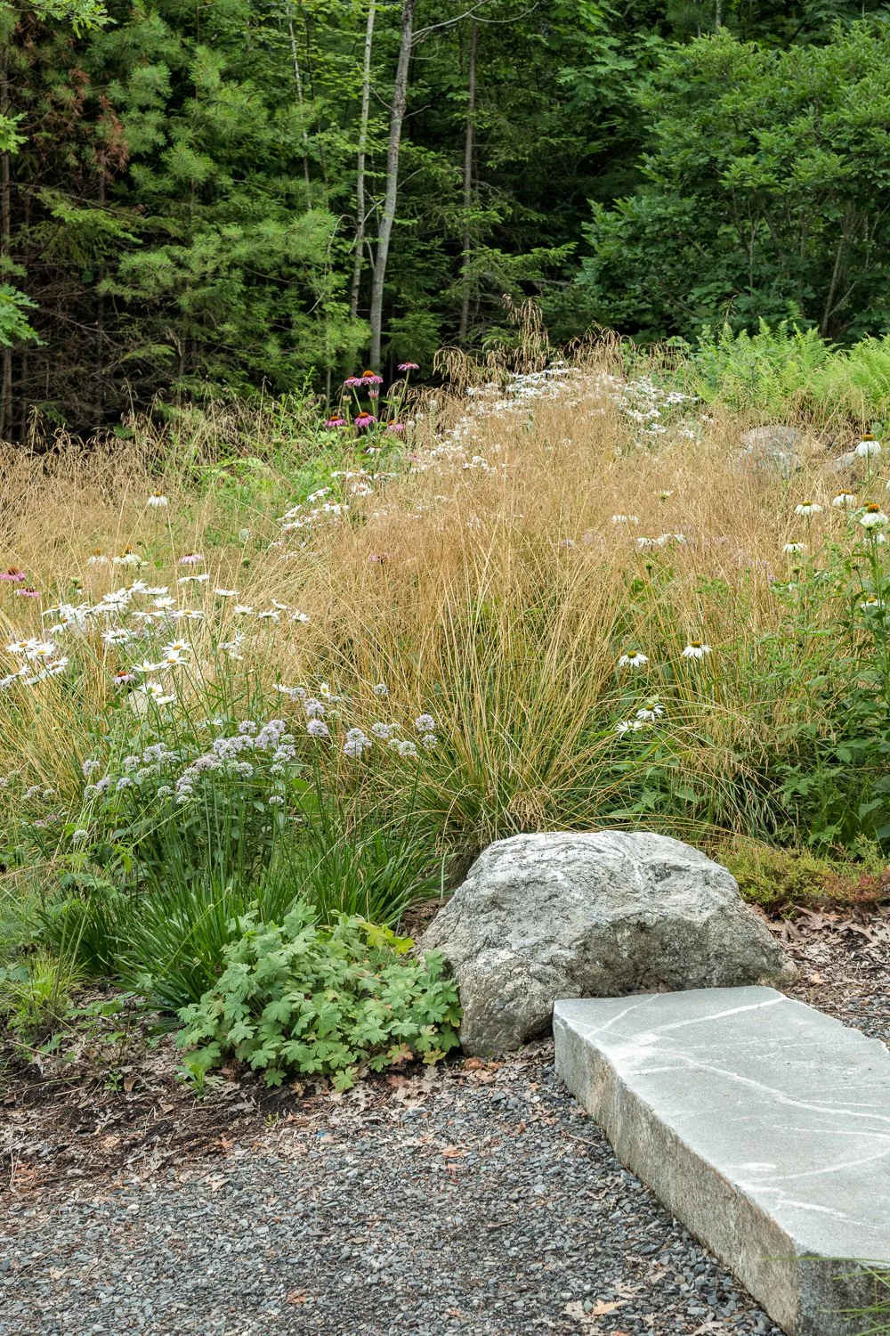 A natural garden scene featuring a large gray rock, a smaller flat stone, and various wildflowers and grasses, with a dense forest of green trees in the background.