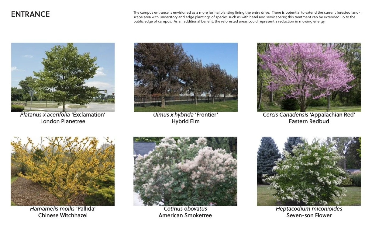 Kendall Tree Selections2.jpg