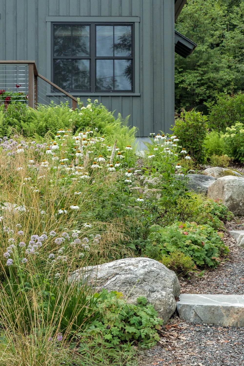 A garden with various plants, flowers, and rocks in front of a house with a gray exterior and large window.