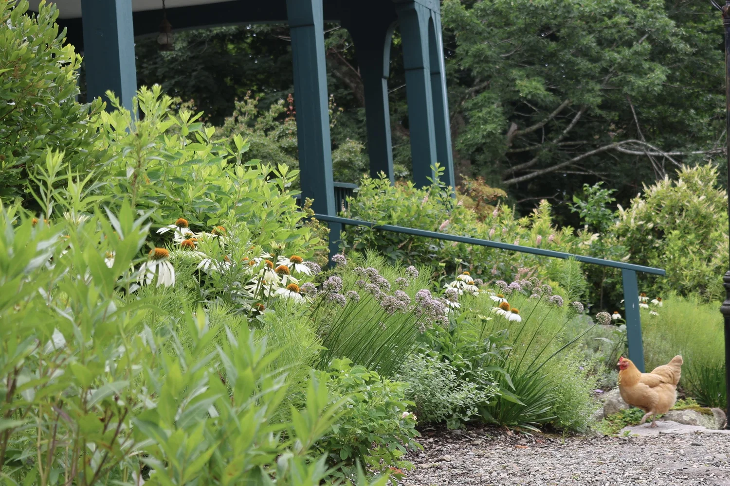 GBR Landscape | Naturalistic Landscape Design