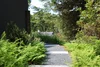 GBR Landscape | Naturalistic Landscape Design
