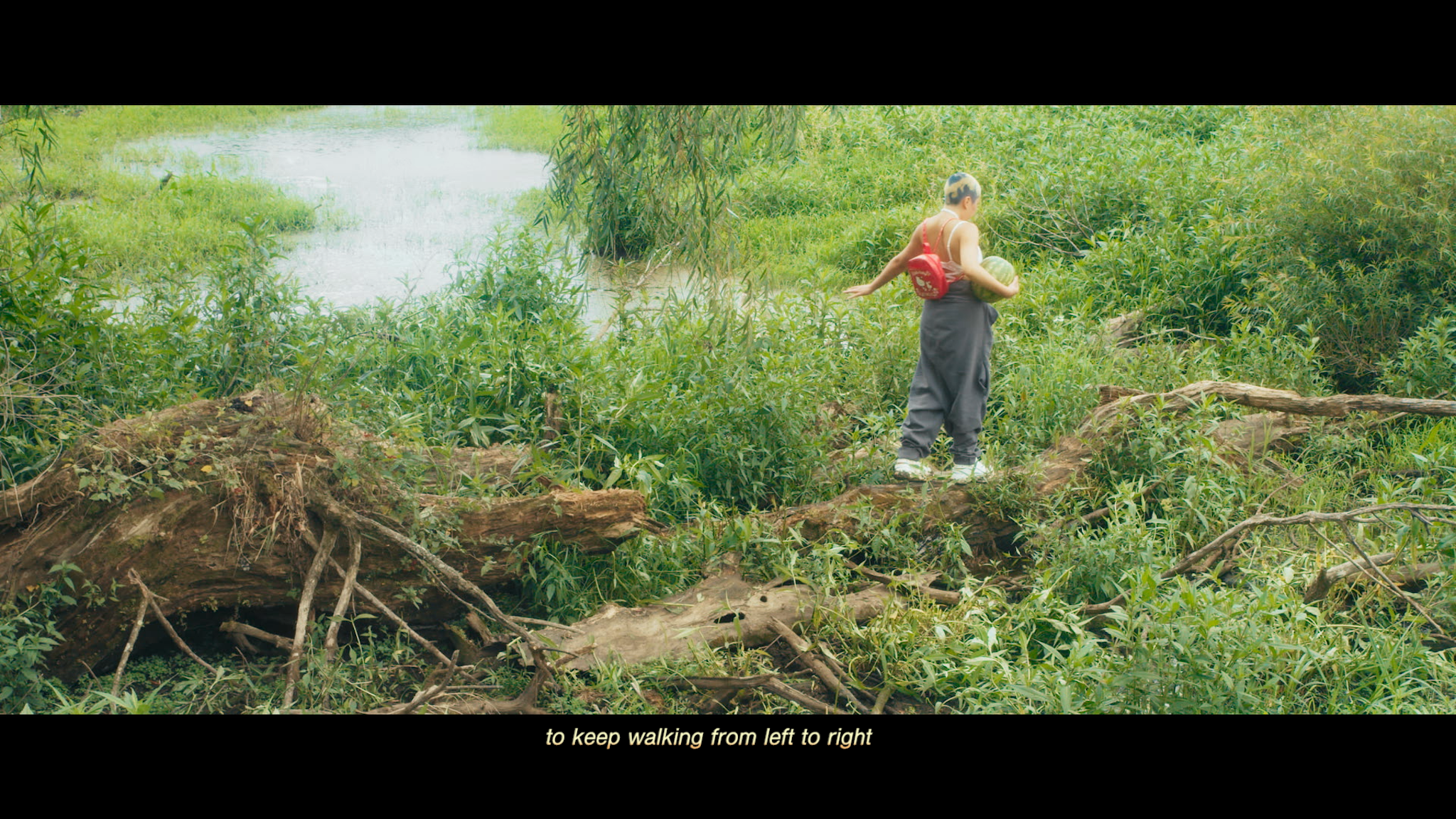 march 22 final cut_march 28 sound mixing.00_02_49_13.Still063.png