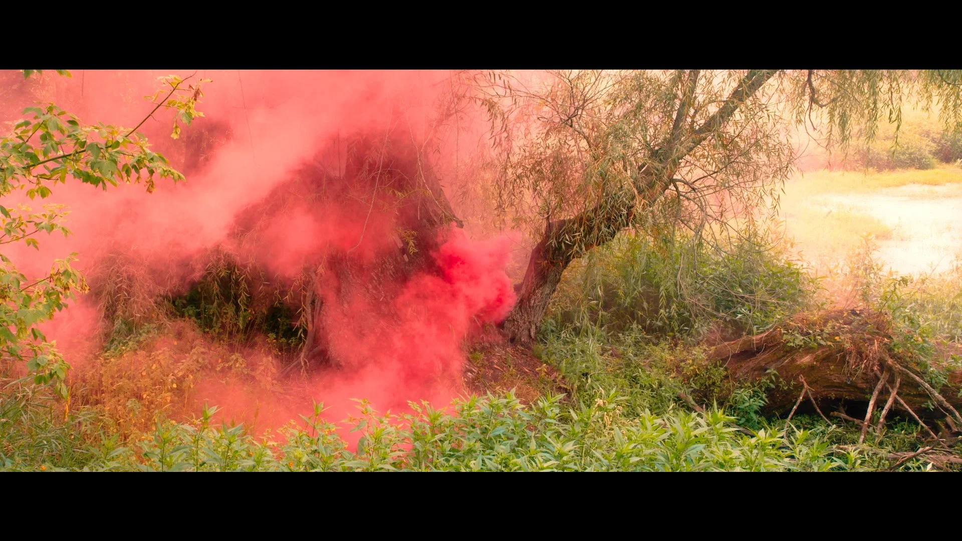 smoke still 3.jpg
