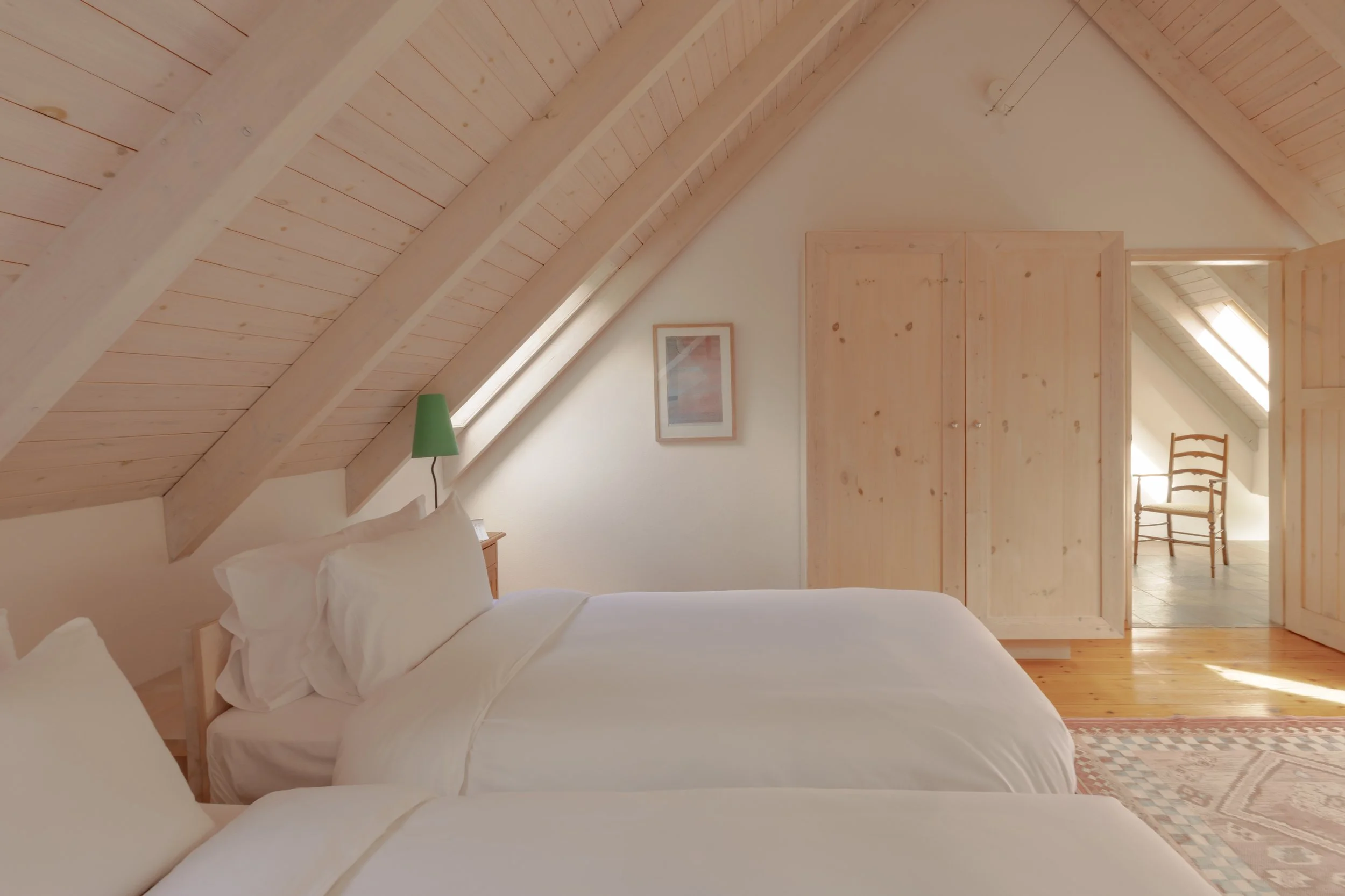 (c) Alexander Baxter_Dromgariff Rainforest_Sep 2025_-209.jpg