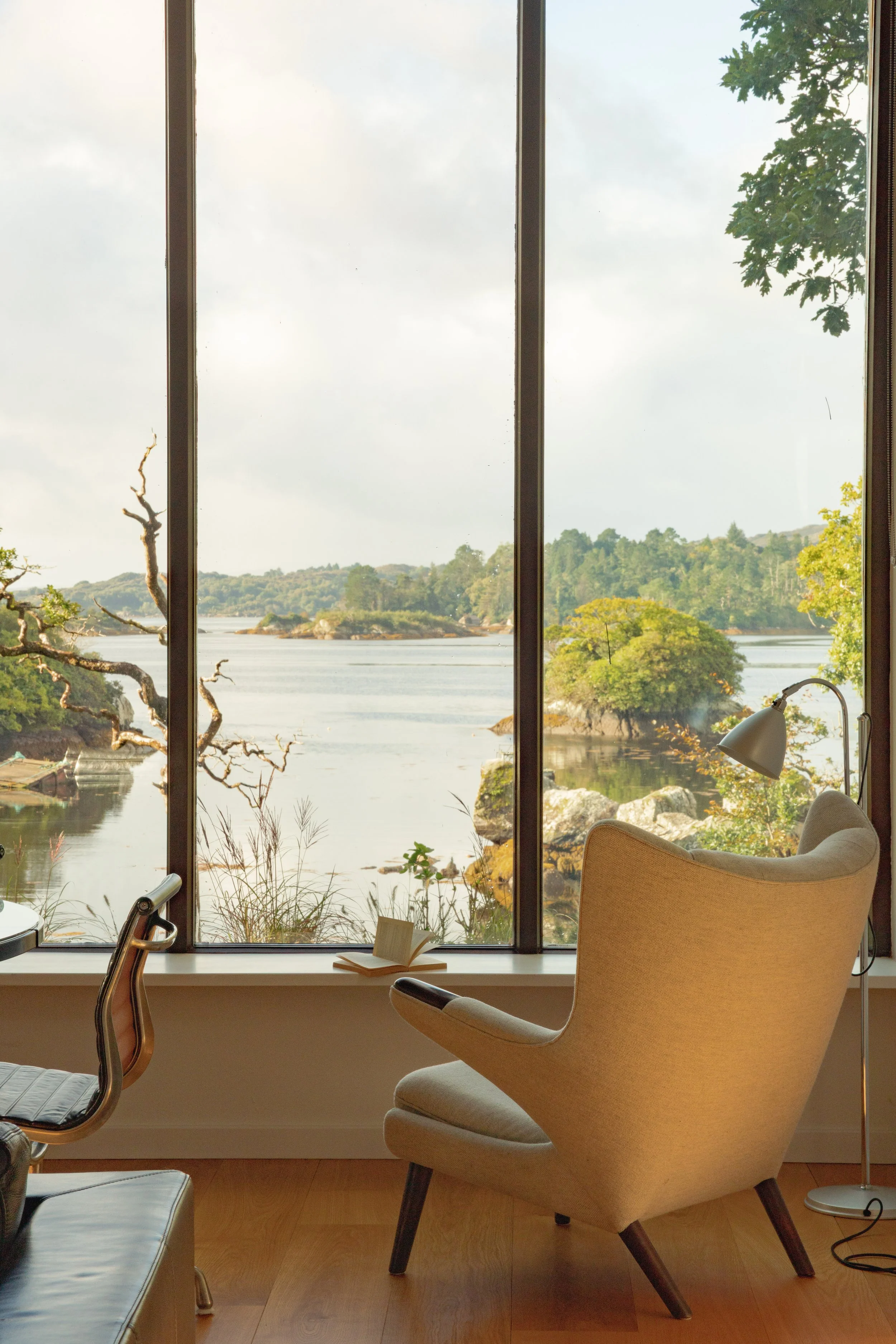 (c) Alexander Baxter_Dromgariff Rainforest_Sep 2025_-52.jpg