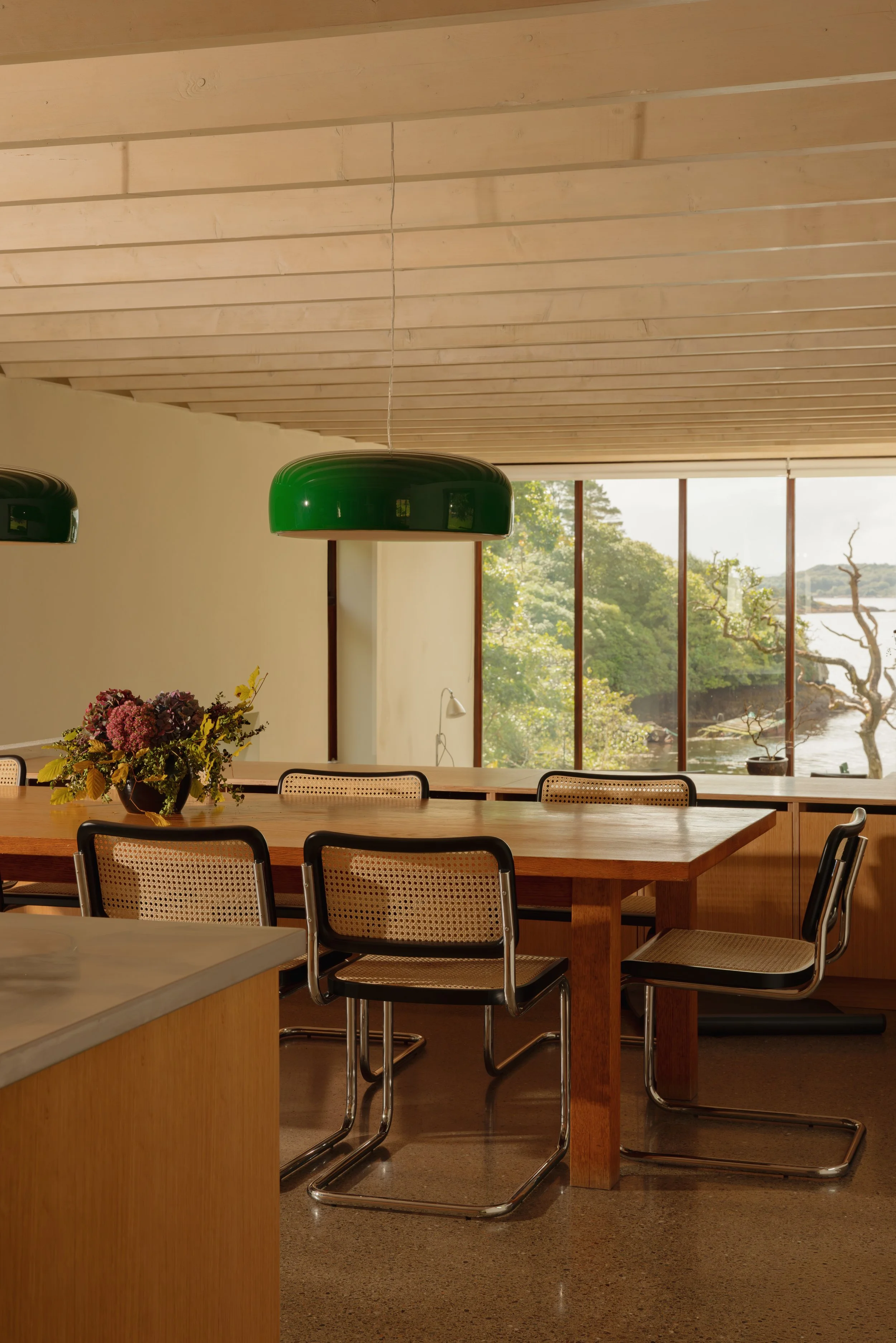 (c) Alexander Baxter_Dromgariff Rainforest_Sep 2025_-79.jpg