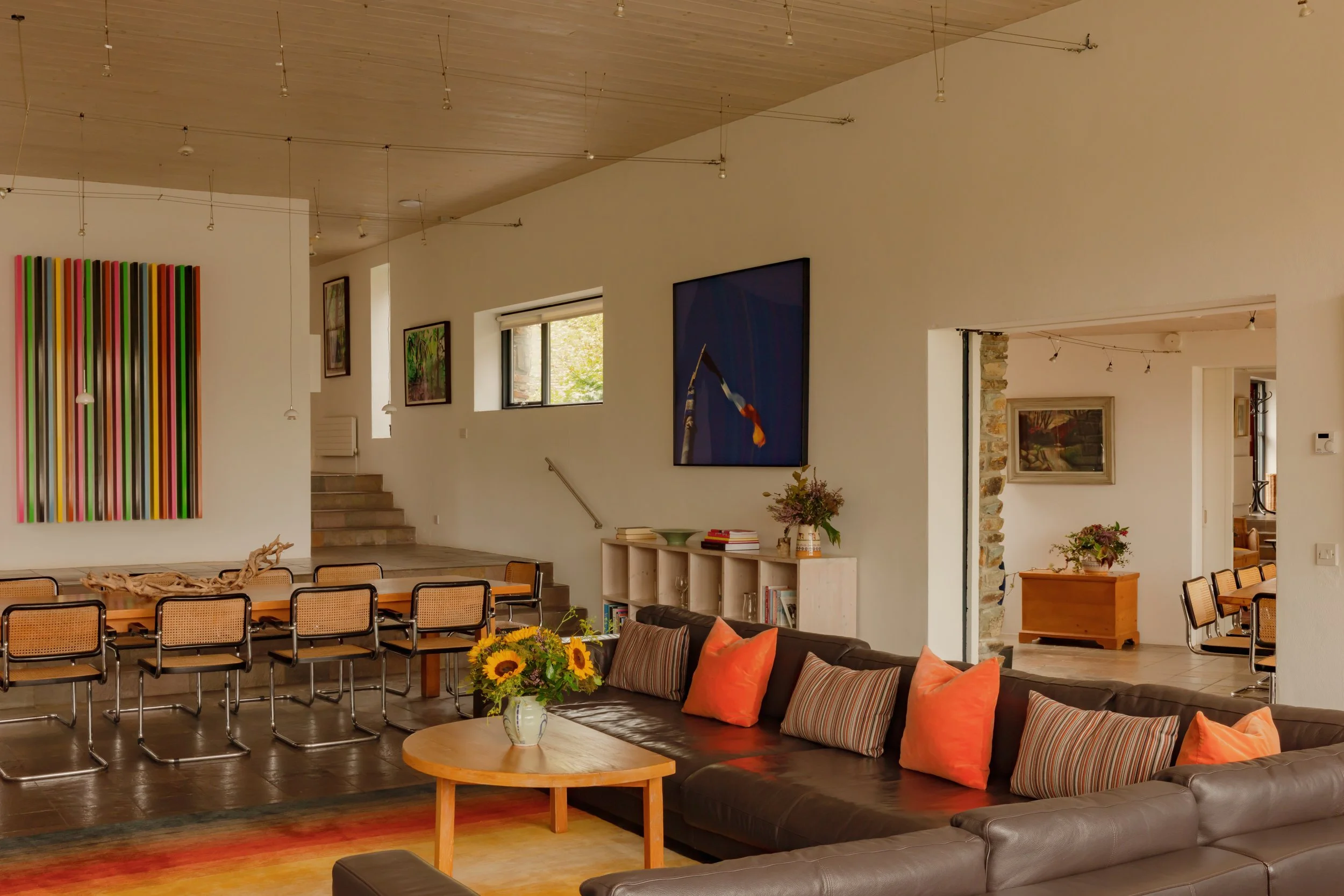 (c) Alexander Baxter_Dromgariff Rainforest_Sep 2025_-155.jpg