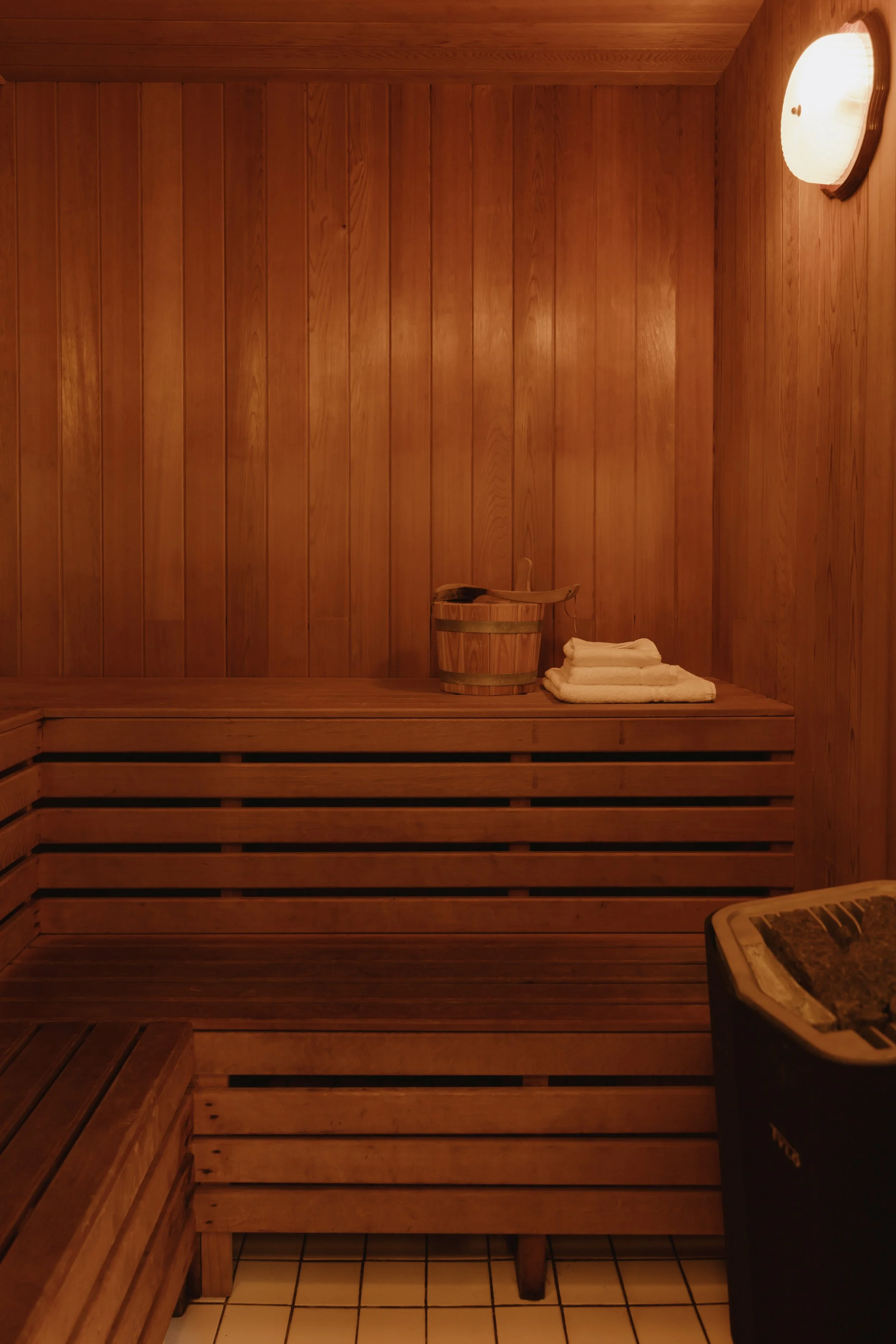 (c) Alexander Baxter_Dromgariff Rainforest_Sep 2025_-187.jpg