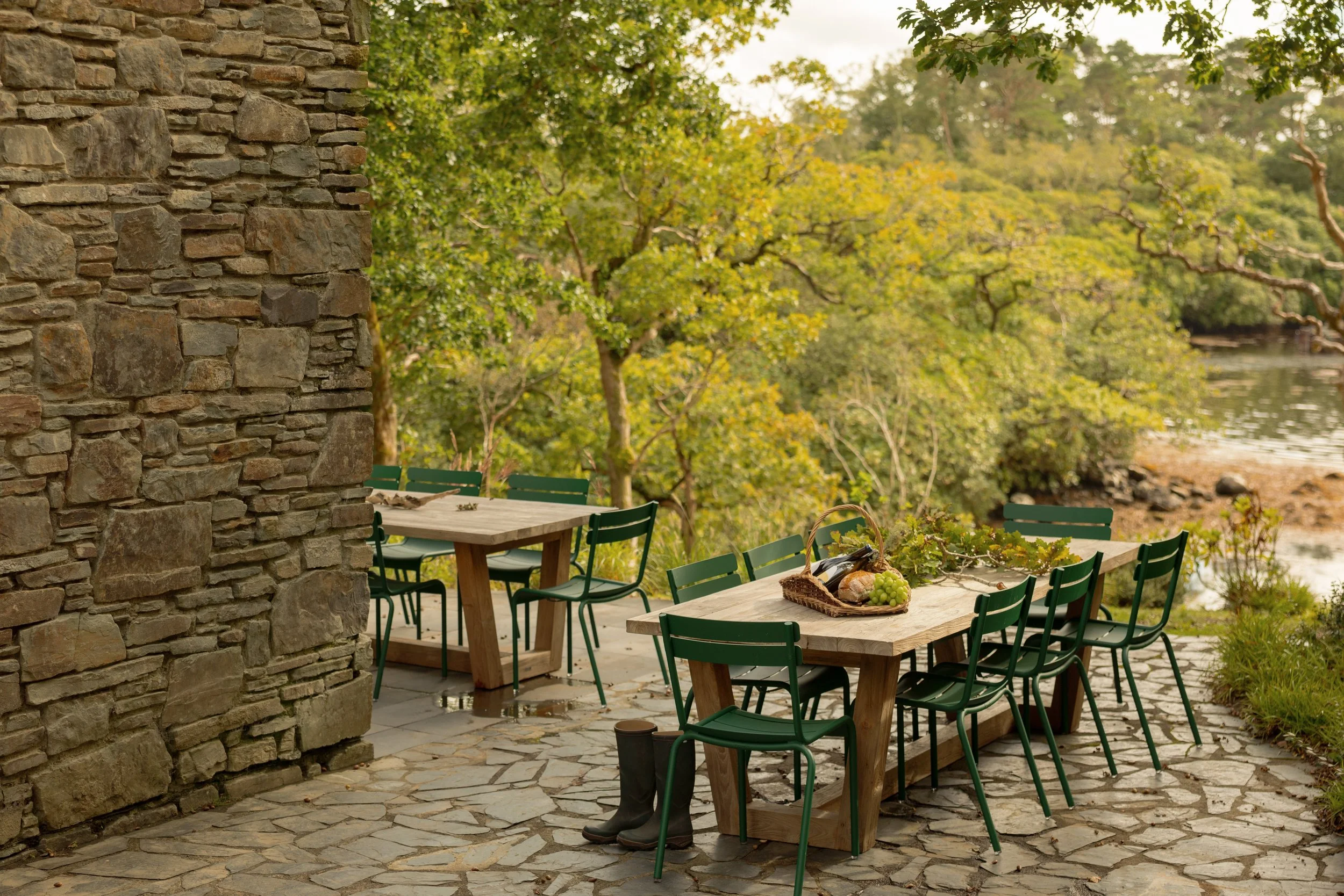 (c) Alexander Baxter_Dromgariff Rainforest_Sep 2025_-127.jpg