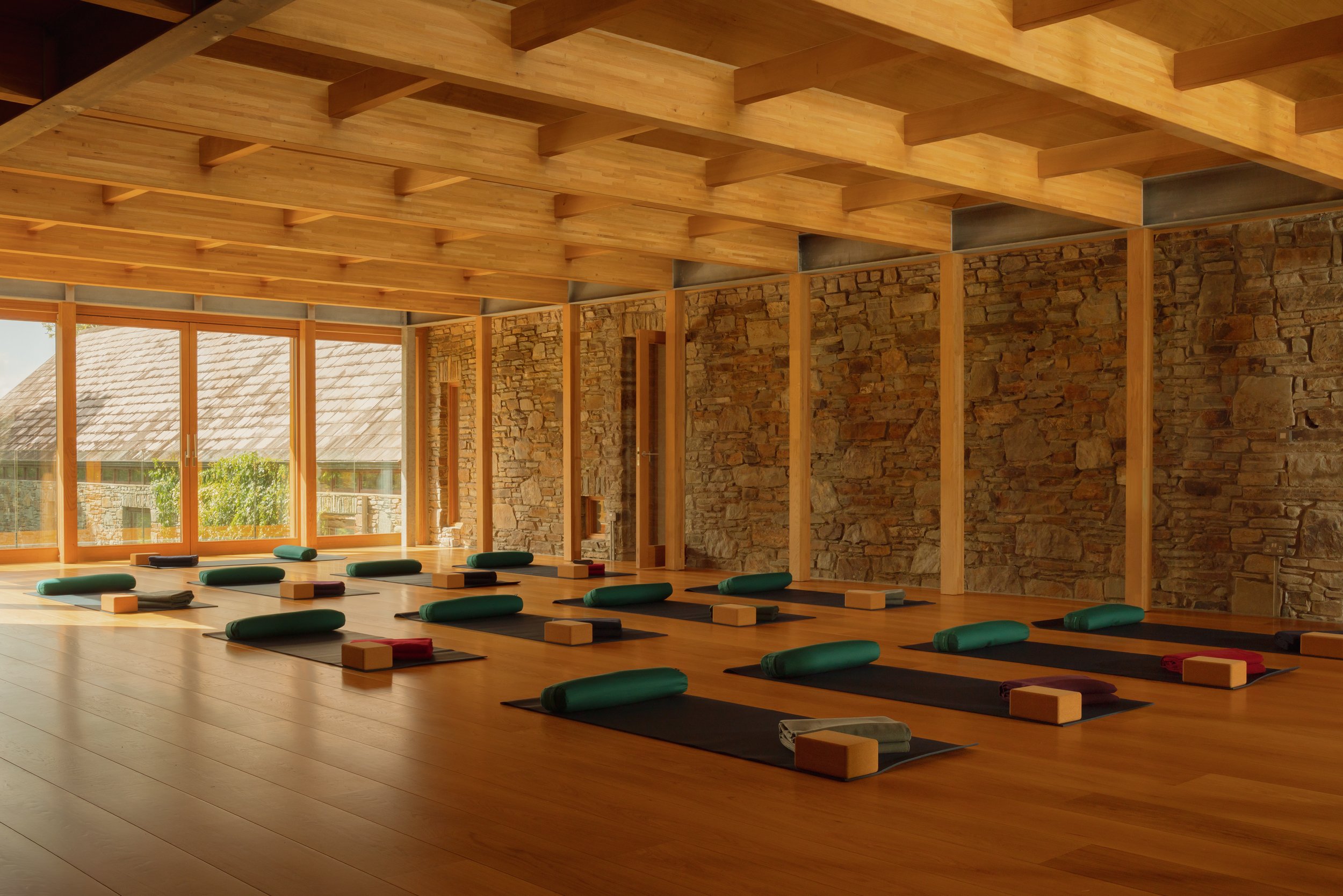 (c) Alexander Baxter_Dromgariff Rainforest_Sep 2025_-86.jpg