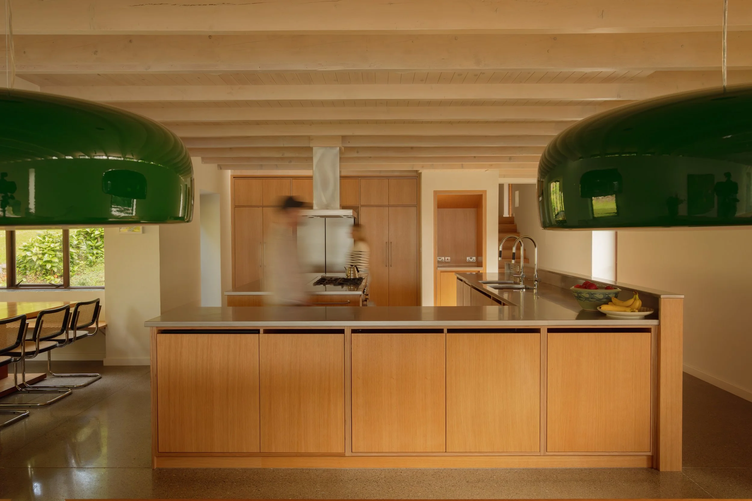 (c) Alexander Baxter_Dromgariff Rainforest_Sep 2025_-68.jpg