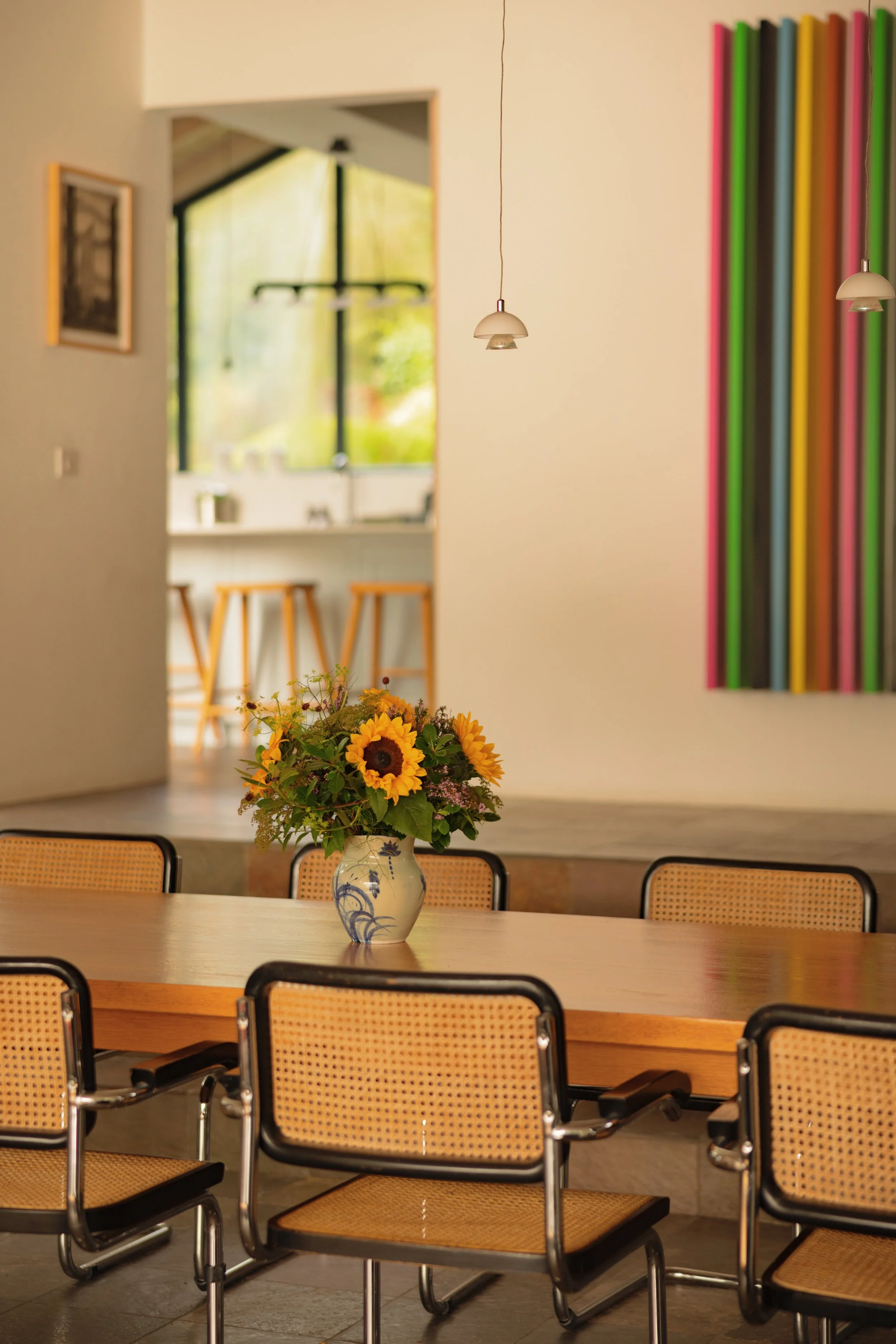 (c) Alexander Baxter_Dromgariff Rainforest_Sep 2025_-29.jpg