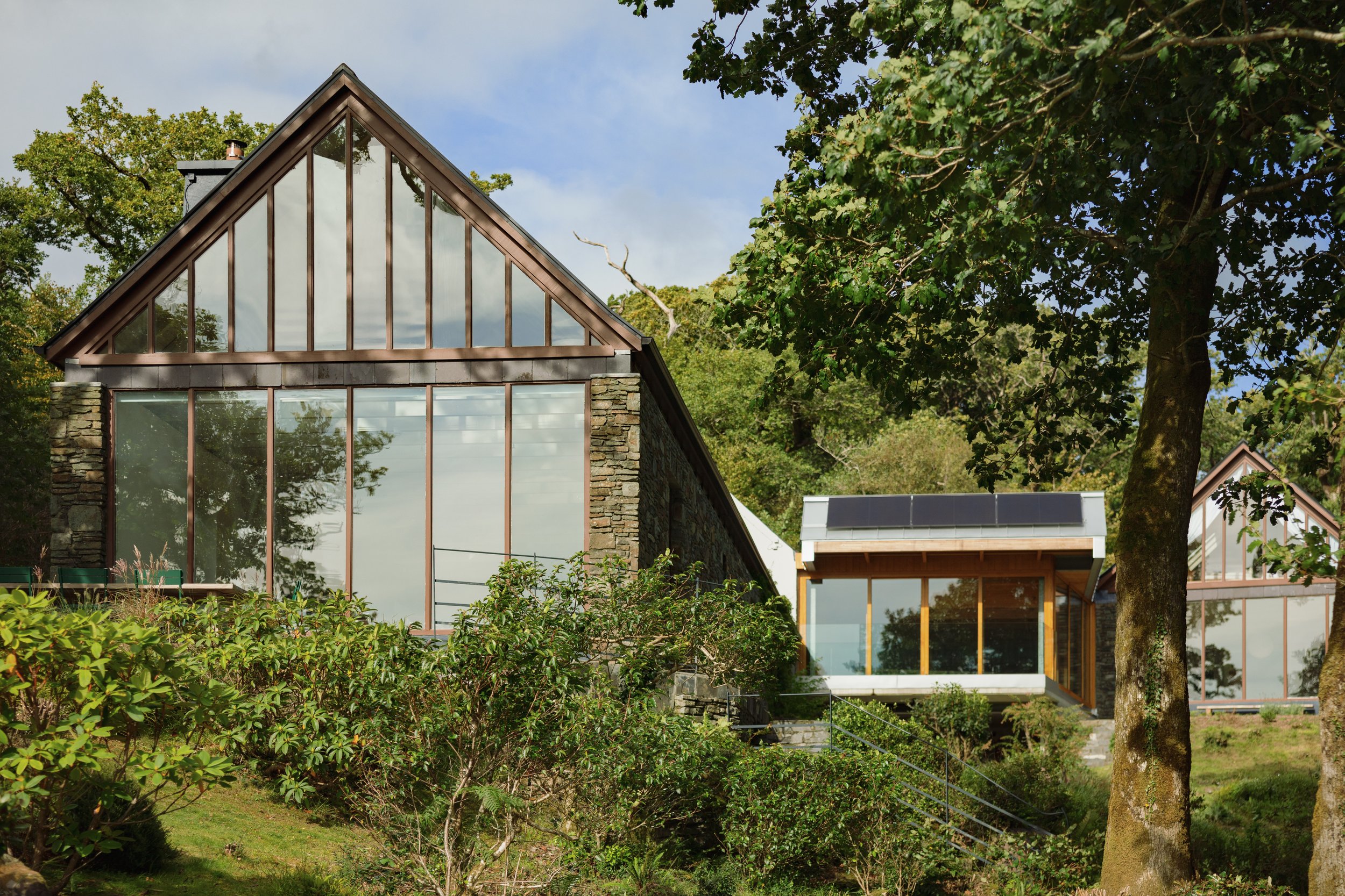 (c) Alexander Baxter_Dromgariff Rainforest_Sep 2025_-16.jpg