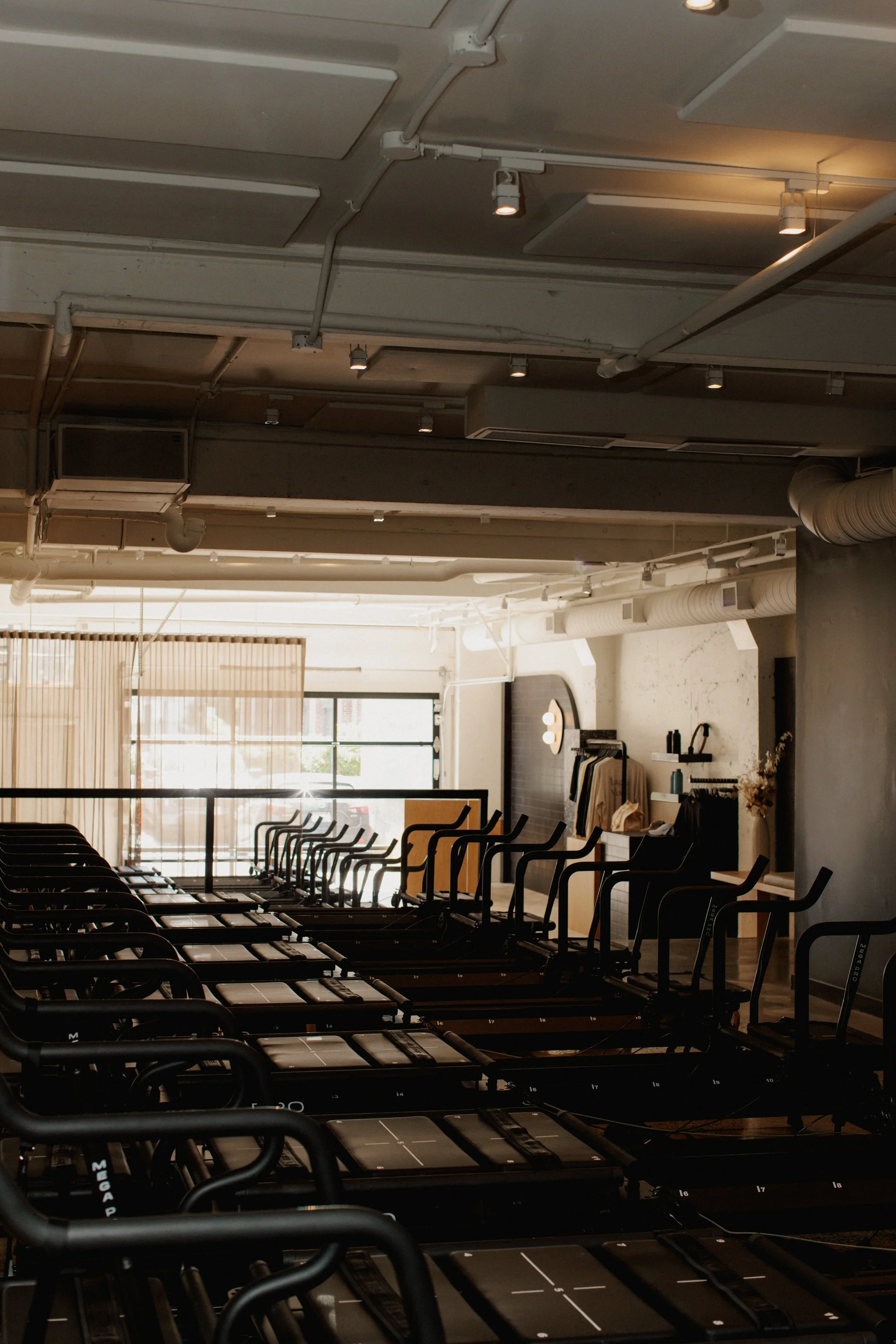 Reformer pilates machines in a long row facing the natural light of outdoors.