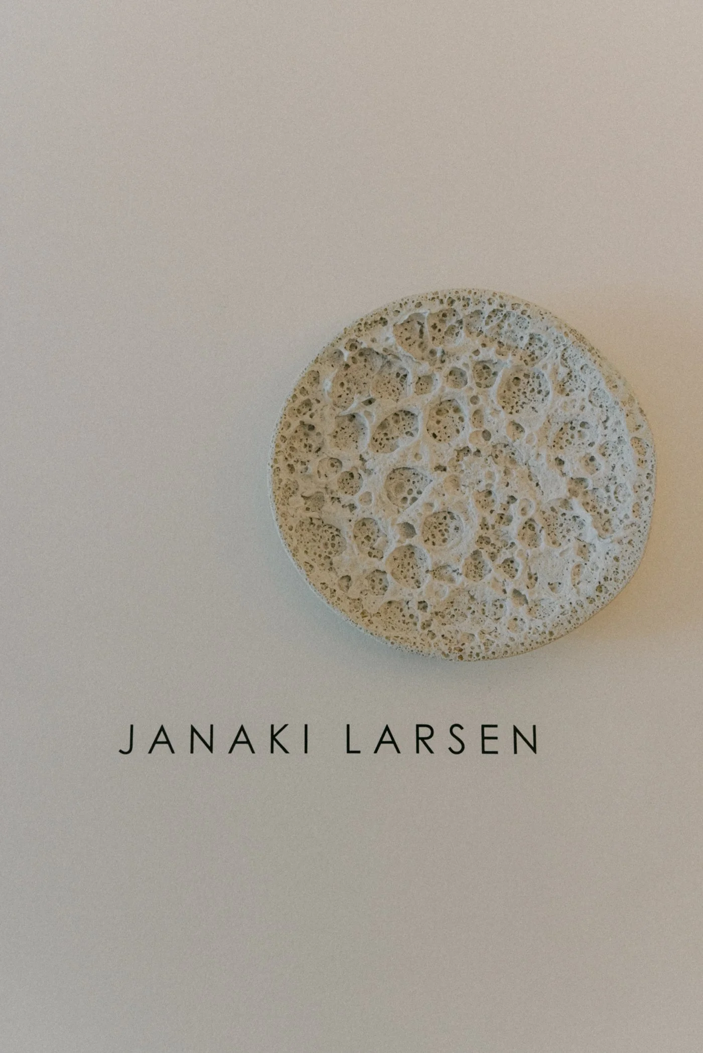 JANAKI LARSEN STUDIO