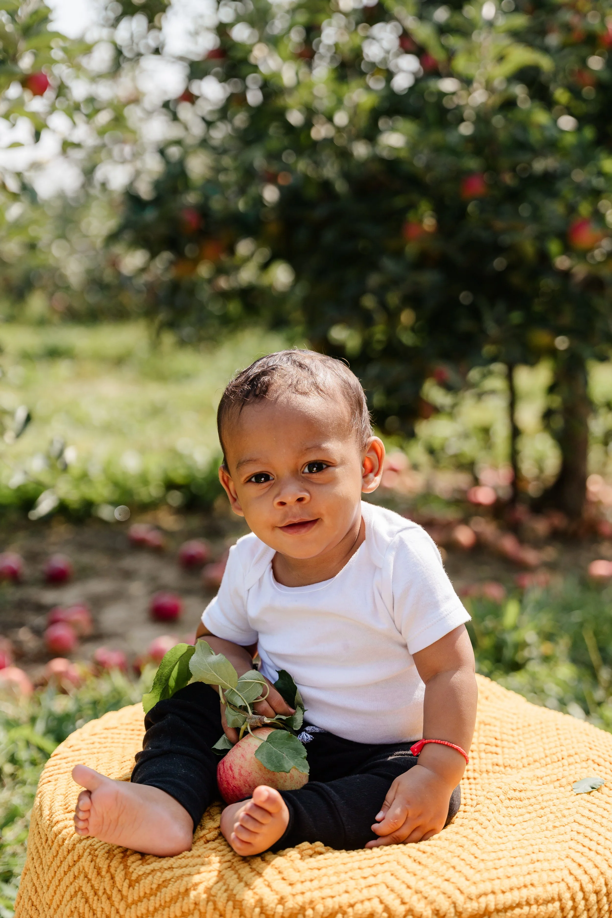 shani-fam-orchards-9-14-2024-2.jpg