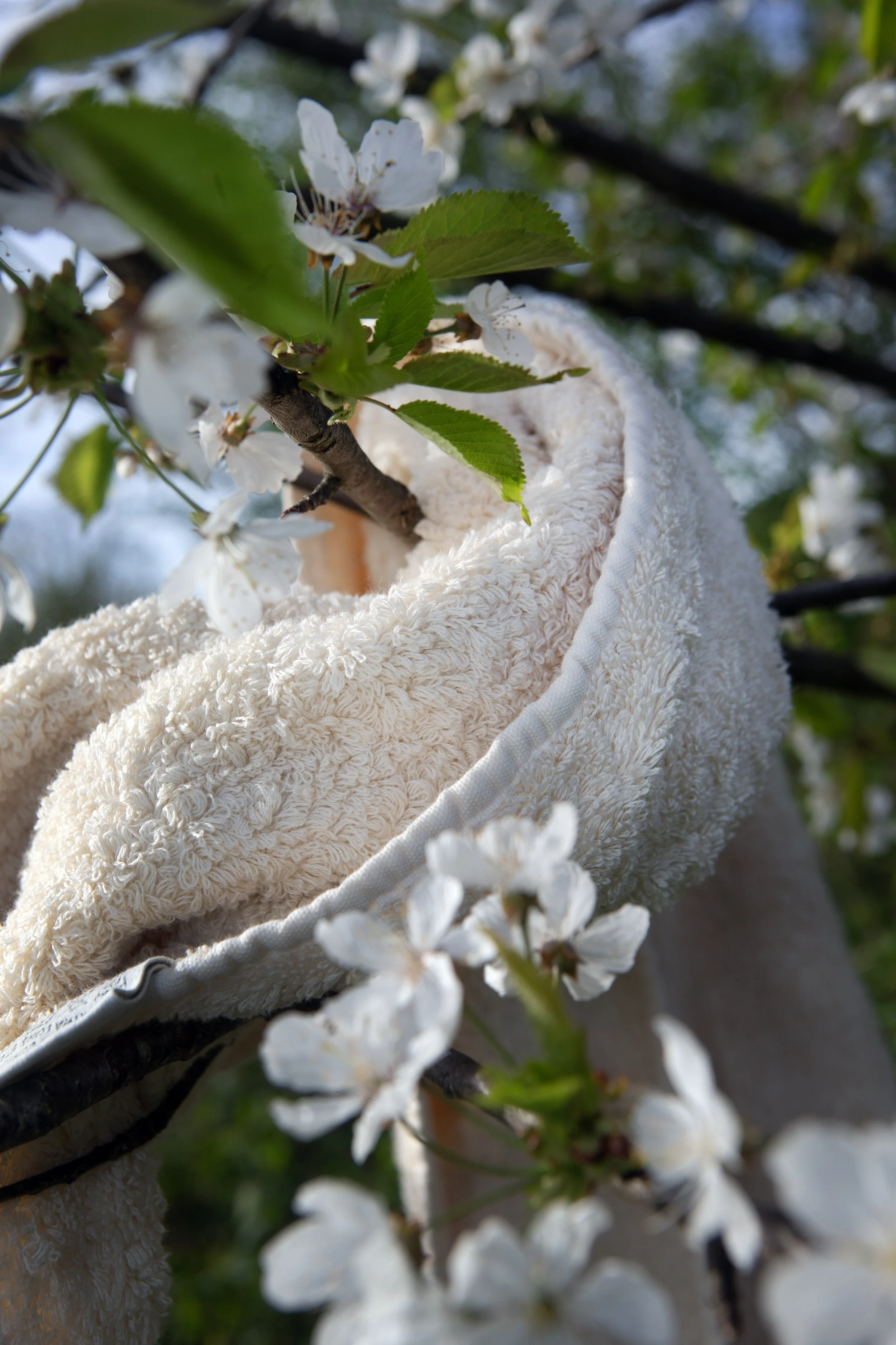 SUPER PILE (041).jpg