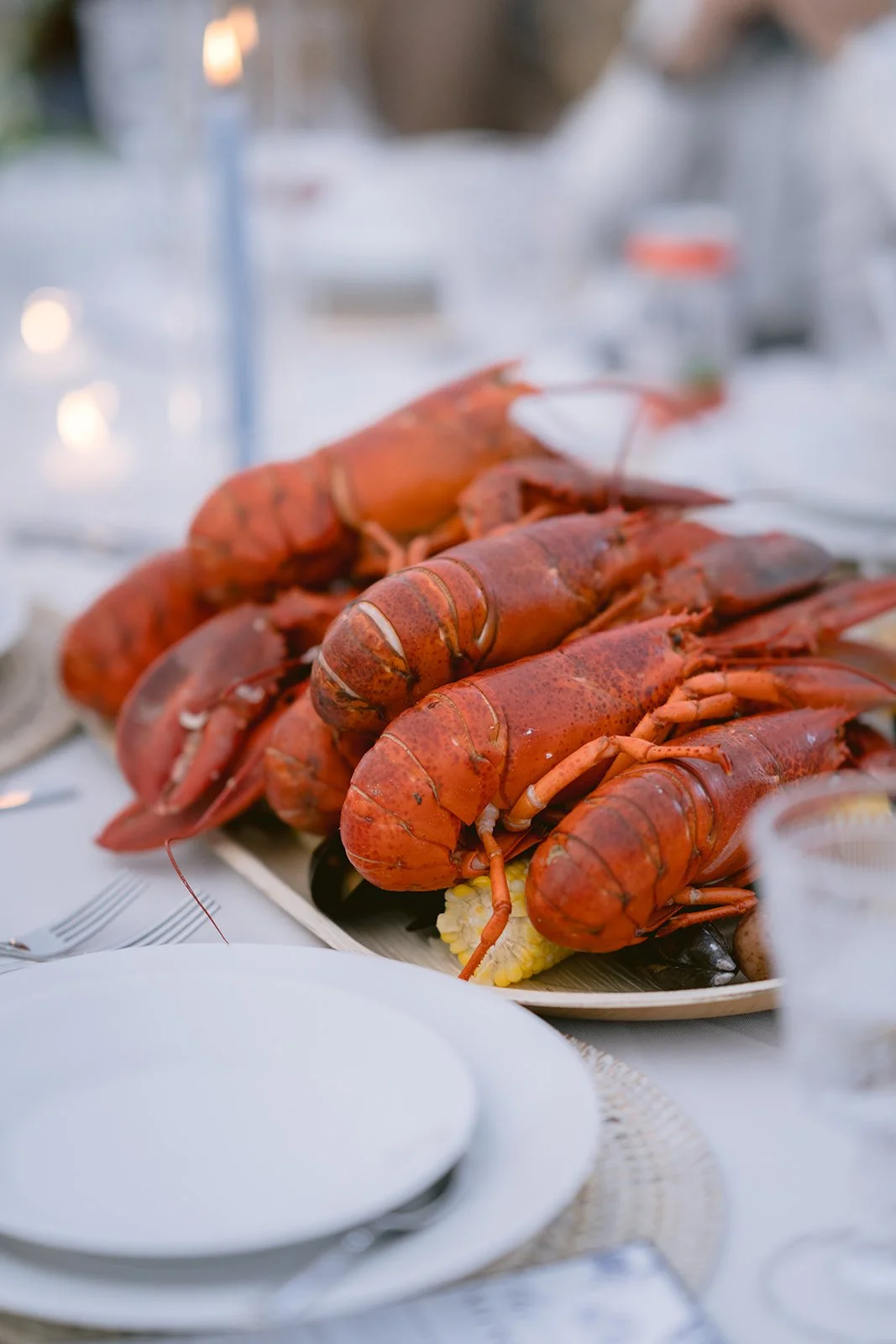 Islesboro Island Wedding Weekend47.jpg