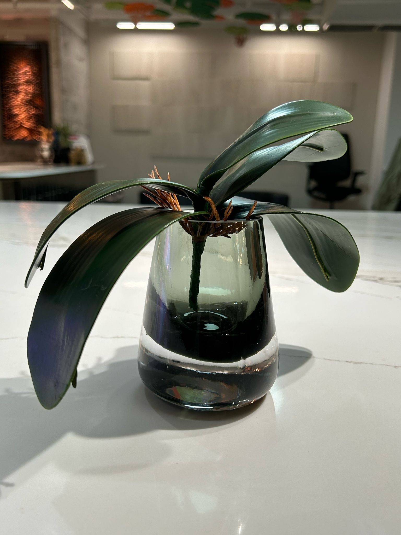 Sim Plants