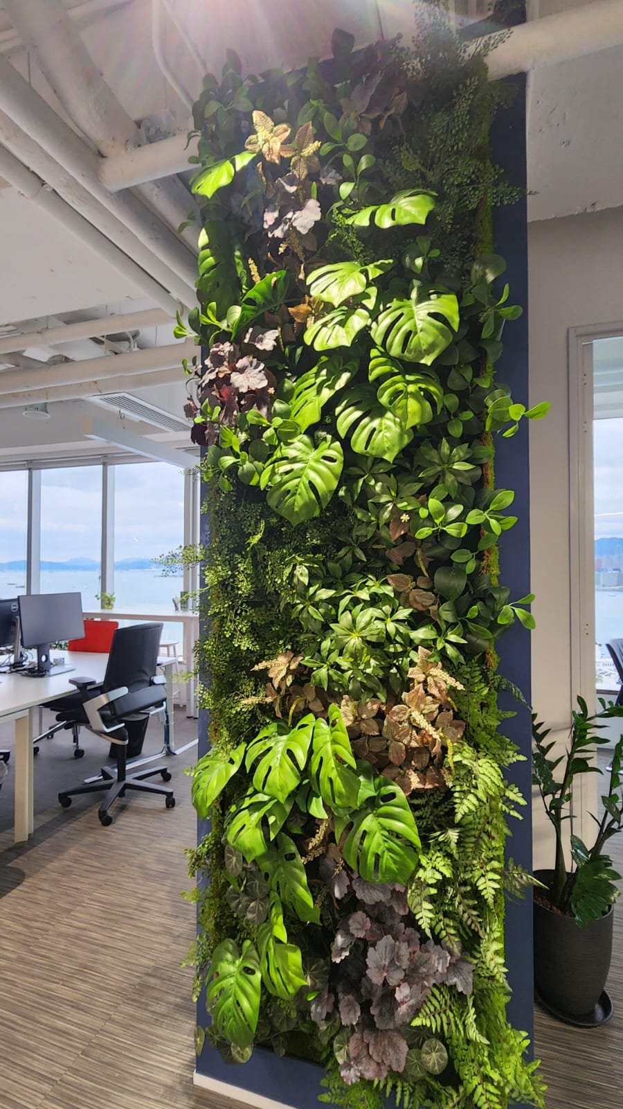 Sim Green Wall