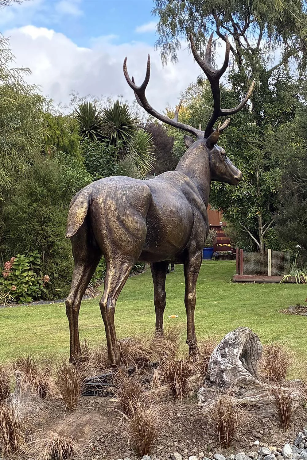 Stag5.jpg