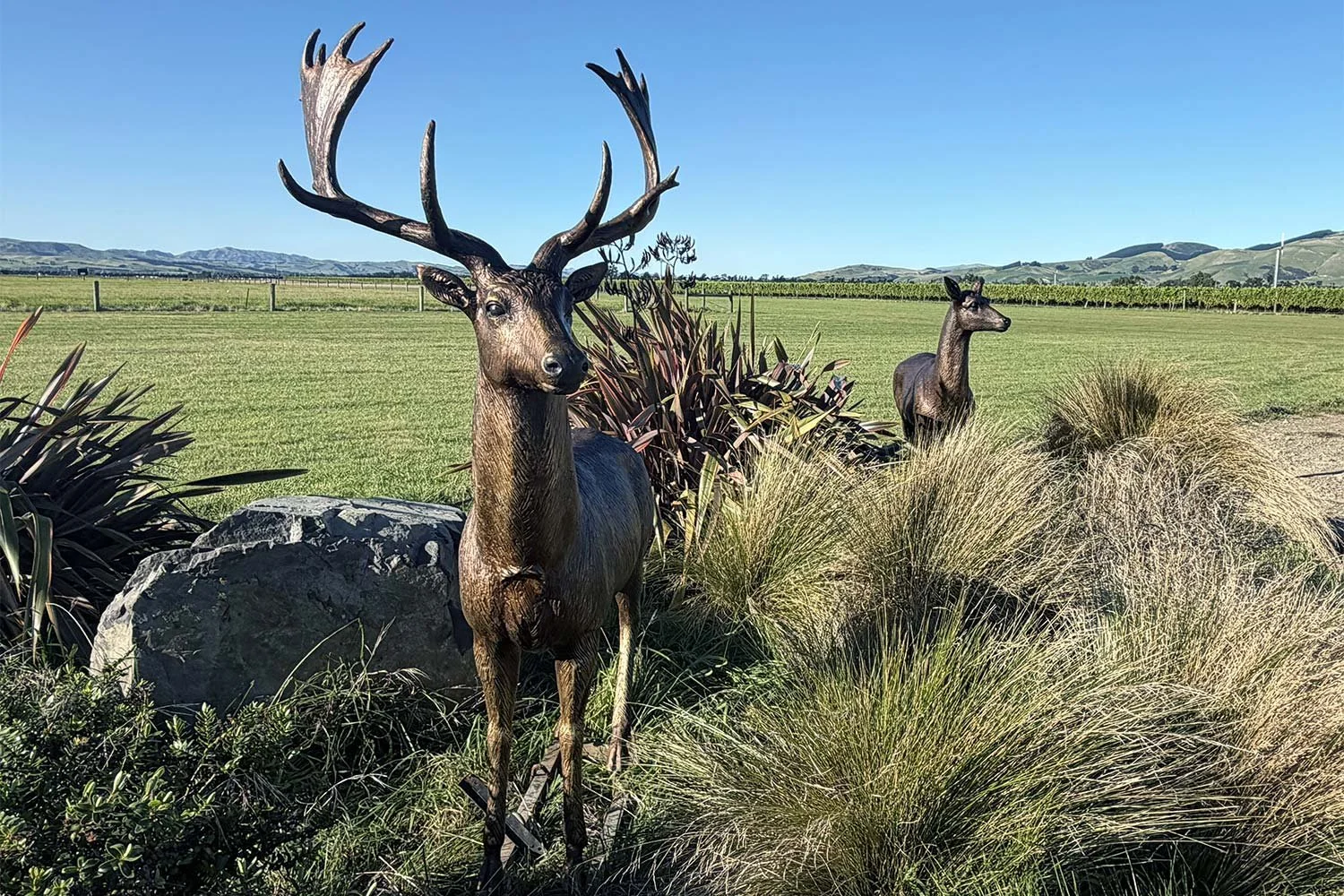 Fallow_Stag_Hind_Garden.jpg