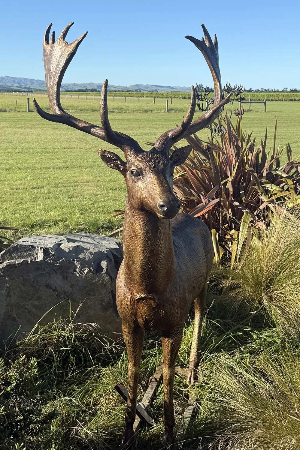 Fallow_Stag_Garden.jpg