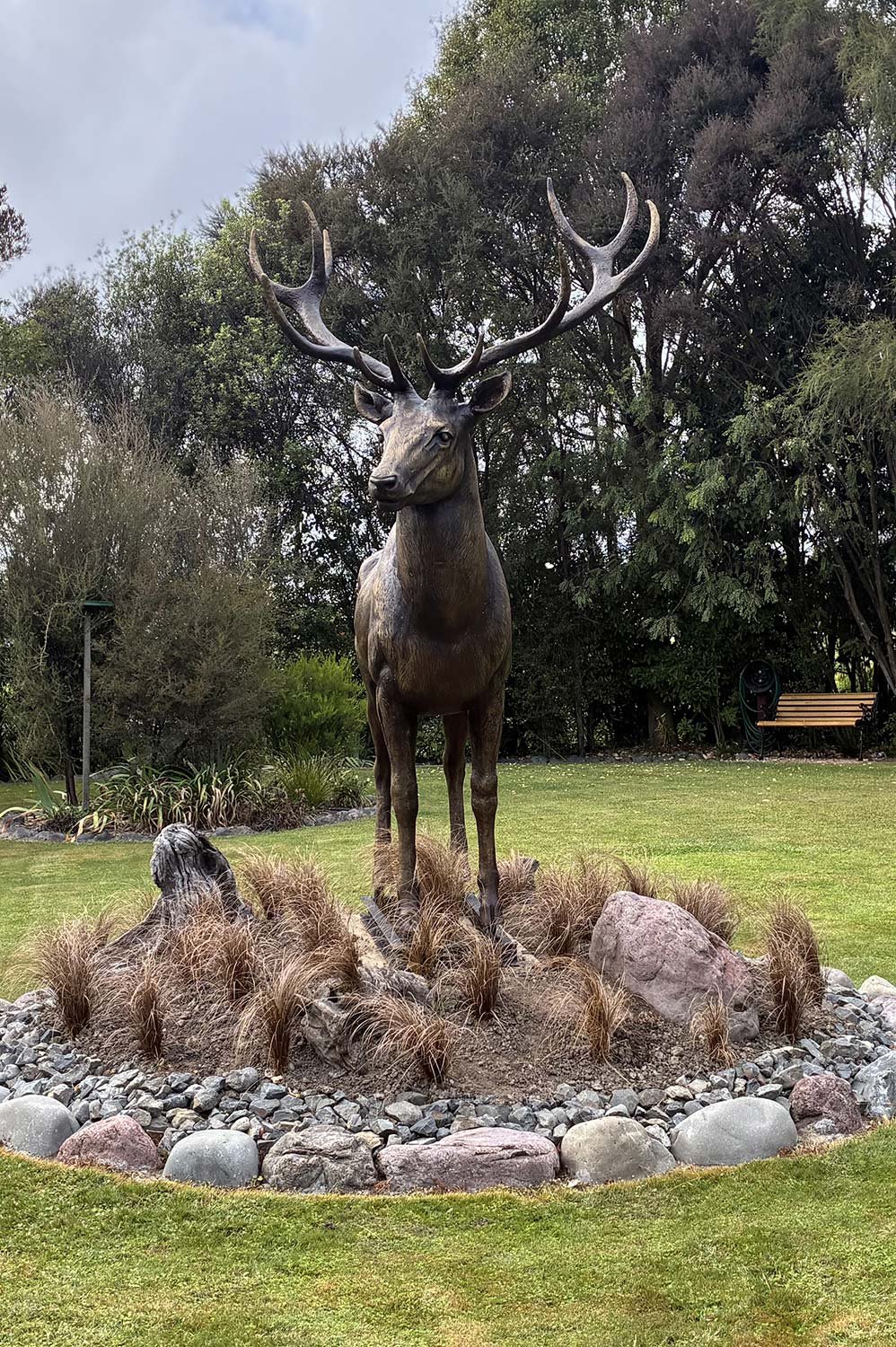Stag2.jpg