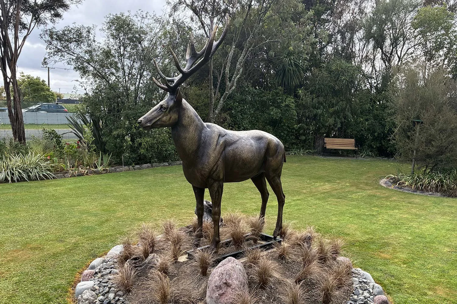 Stag3.jpg