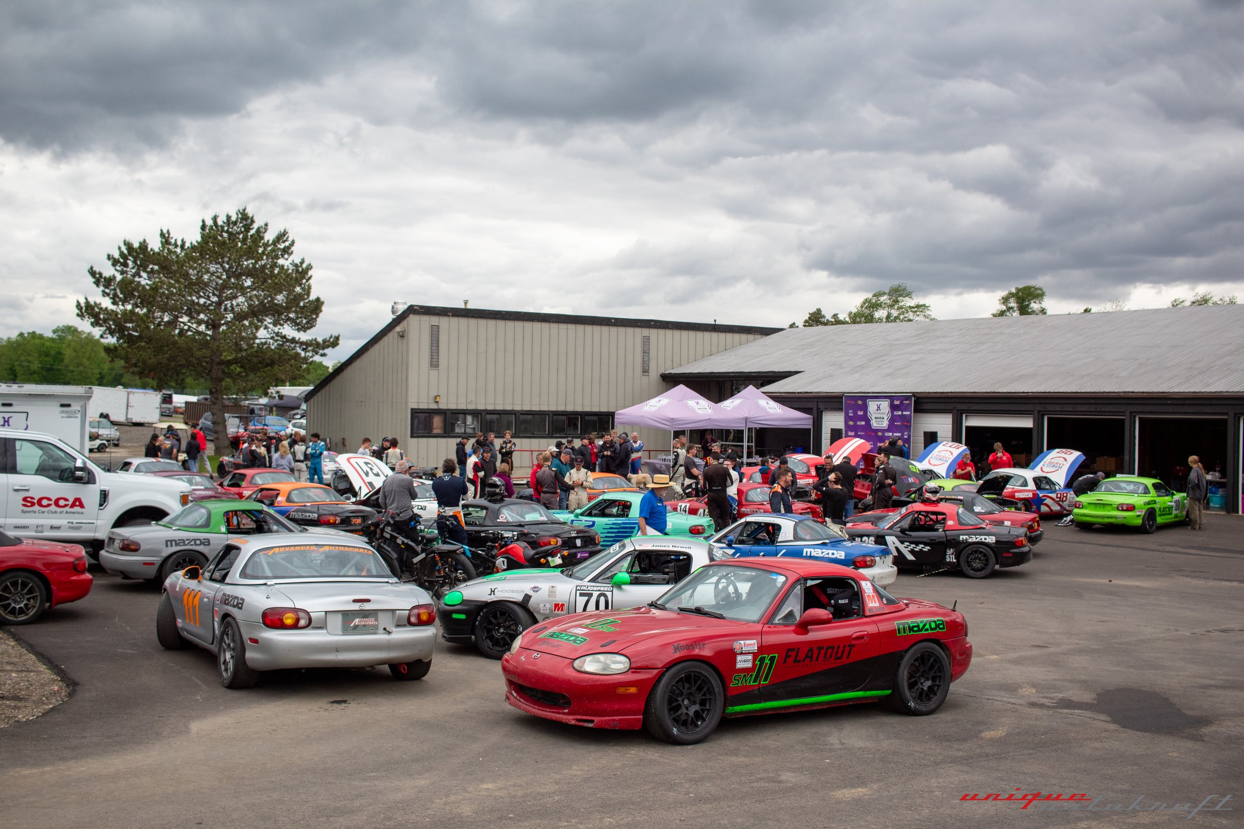 IMG_6375.jpg