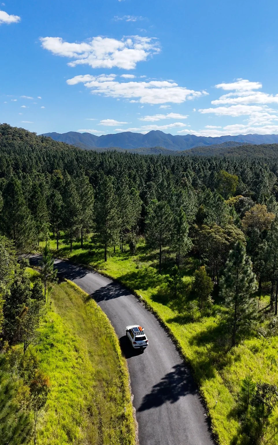 car-with-maxtraxx-driving-through-forrest.jpg