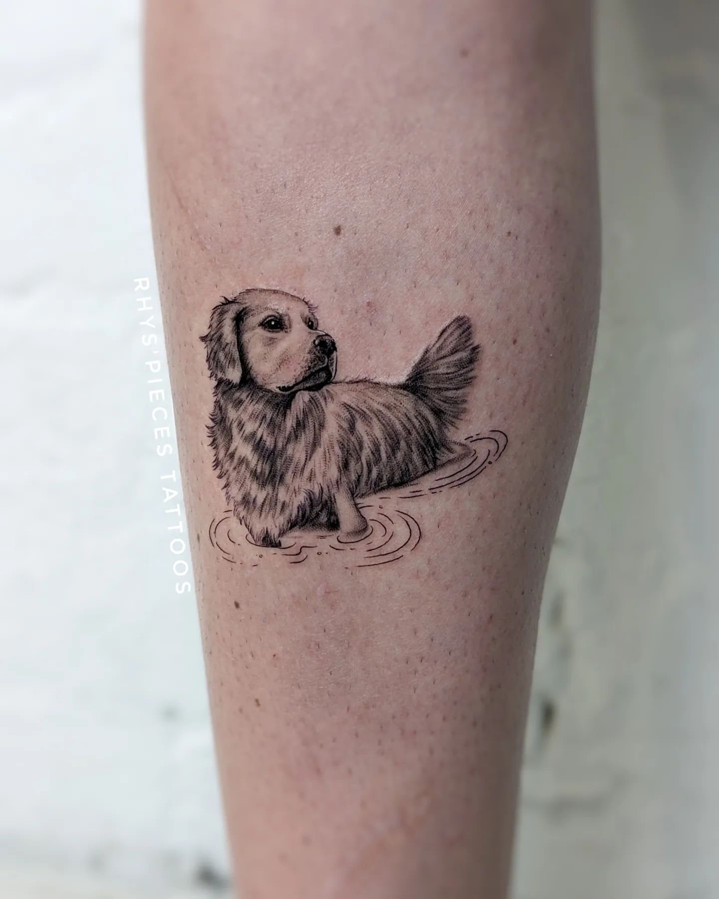 Always with her 🐕💕
.
.
.
#finelinetattoos #finelinetattoosmelbourne #rhyspiecestattoos #fineline #blackandgreytattoo #blackandgrey #details #realismtattoo #realism #realistic #doglover #dogportrait #doggos #animaltattoo #always #love #fresh #melbou