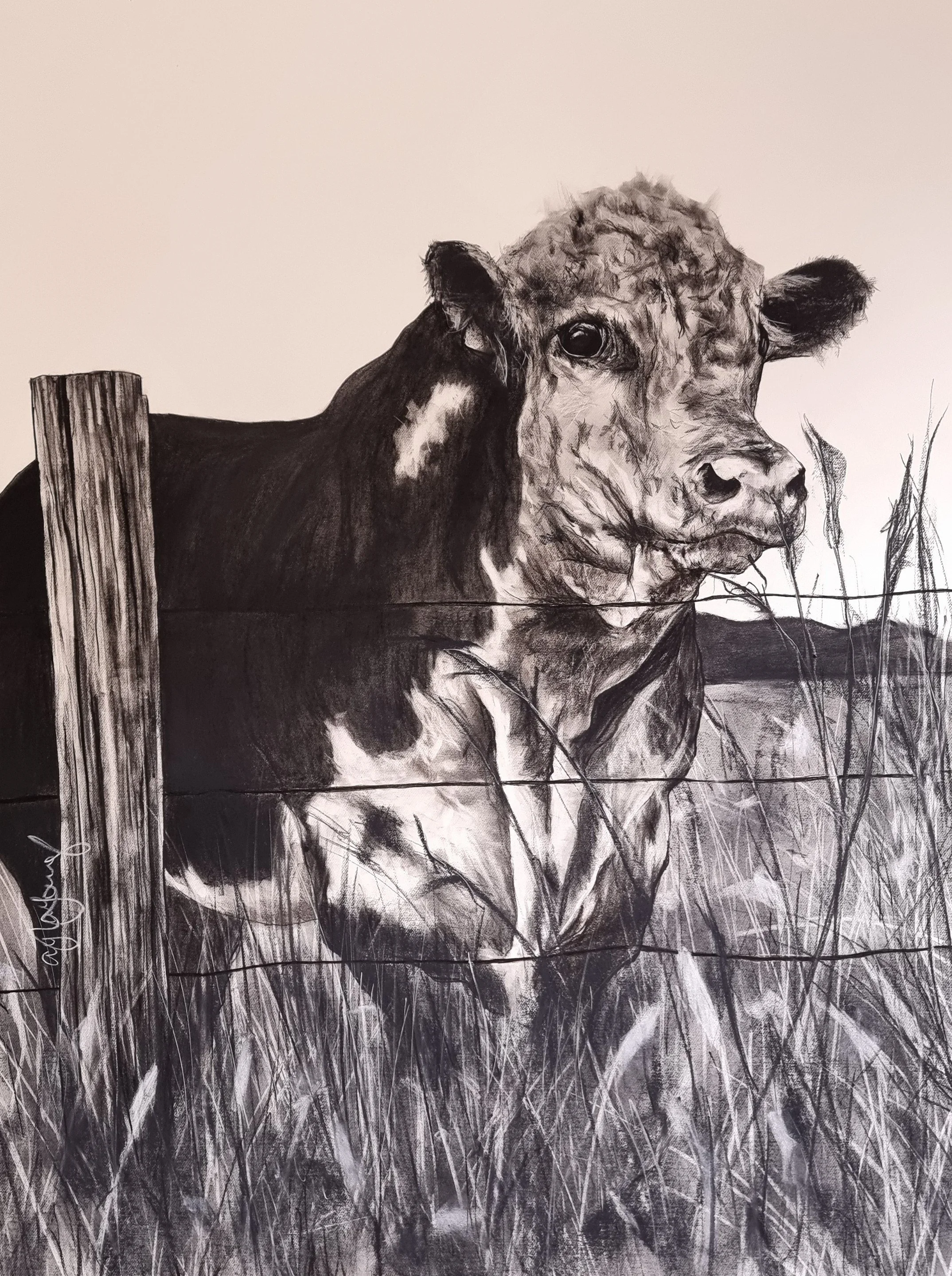A black and white painting or drawing of a cow standing behind a wire fence, surrounded by tall grass.