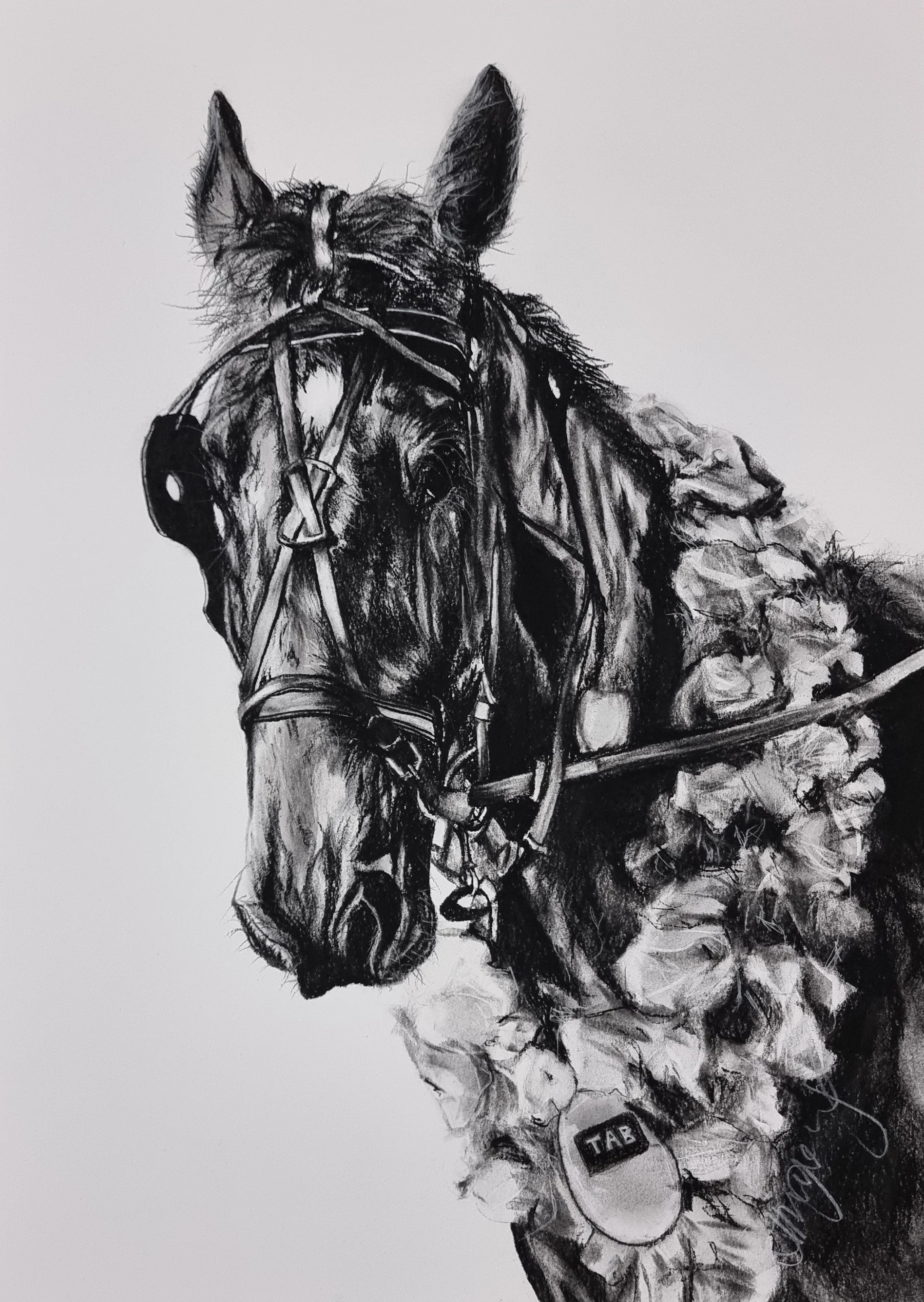 Black and white sketch of a horse's head with a fly resting on its face, with rocks and a keychain dangling from the horse's bridle.