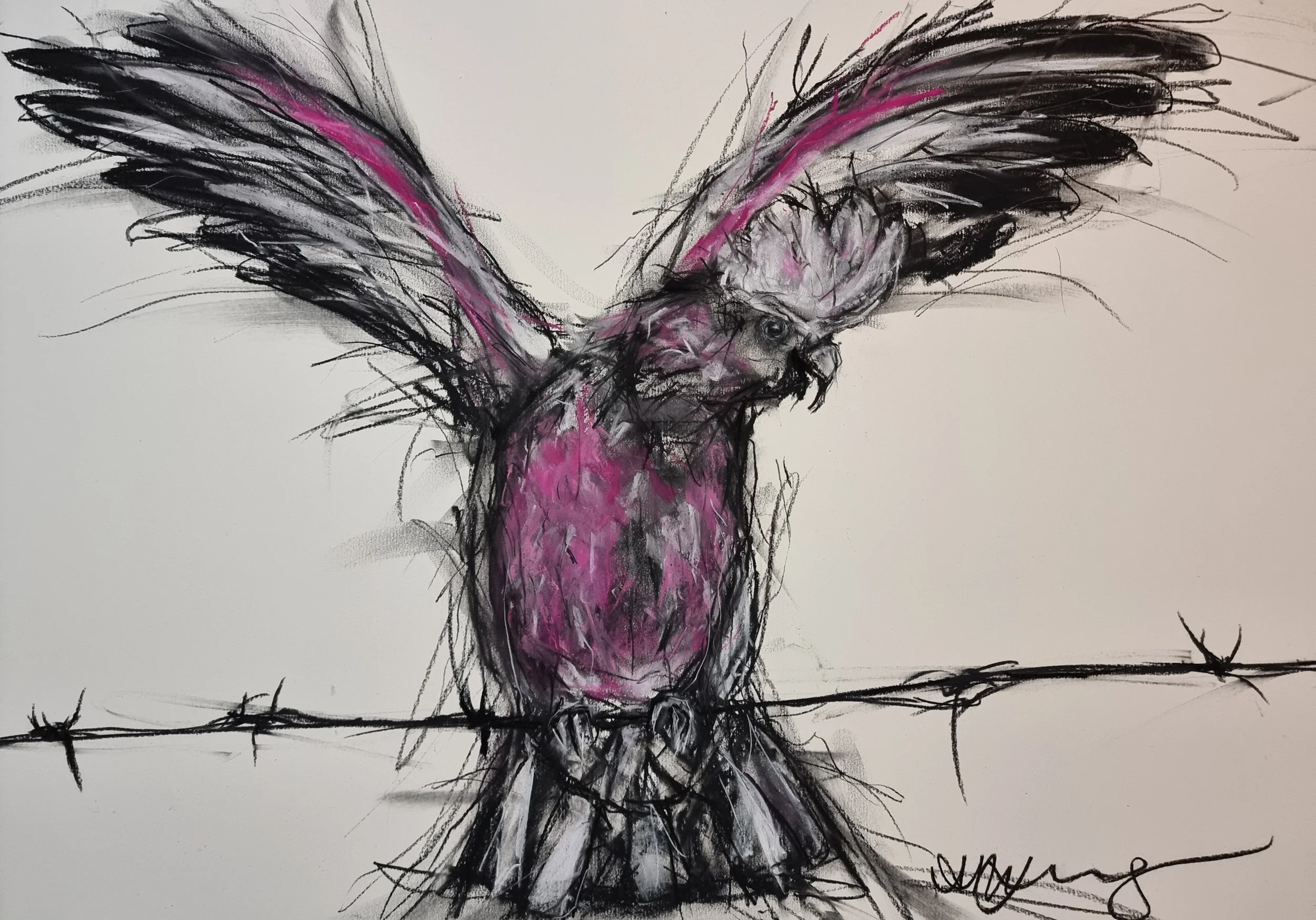Artistic sketch of a bird with large wings perched on barbed wire, with prominent pink and black colors.