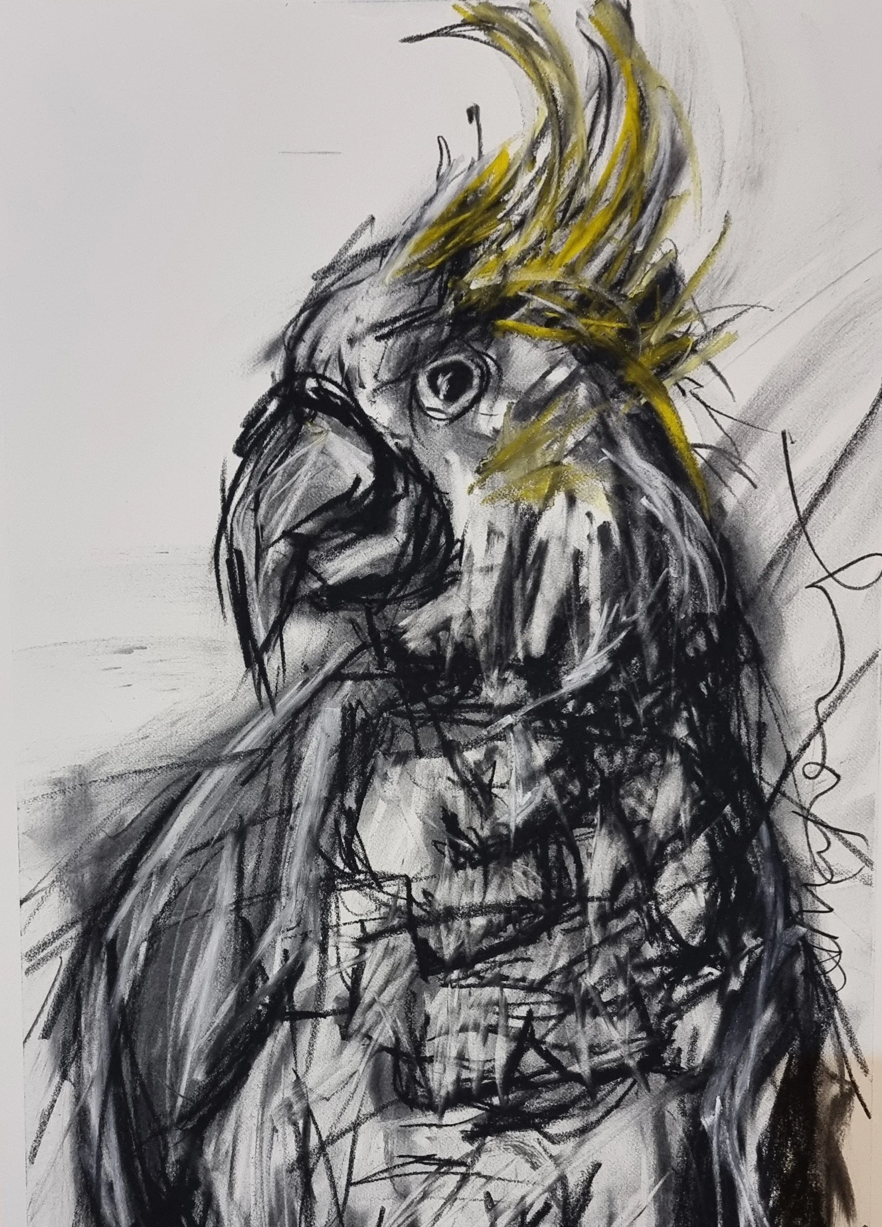 Abstract sketch of a lion's face with a mane, drawn with black and yellow markers on white paper.