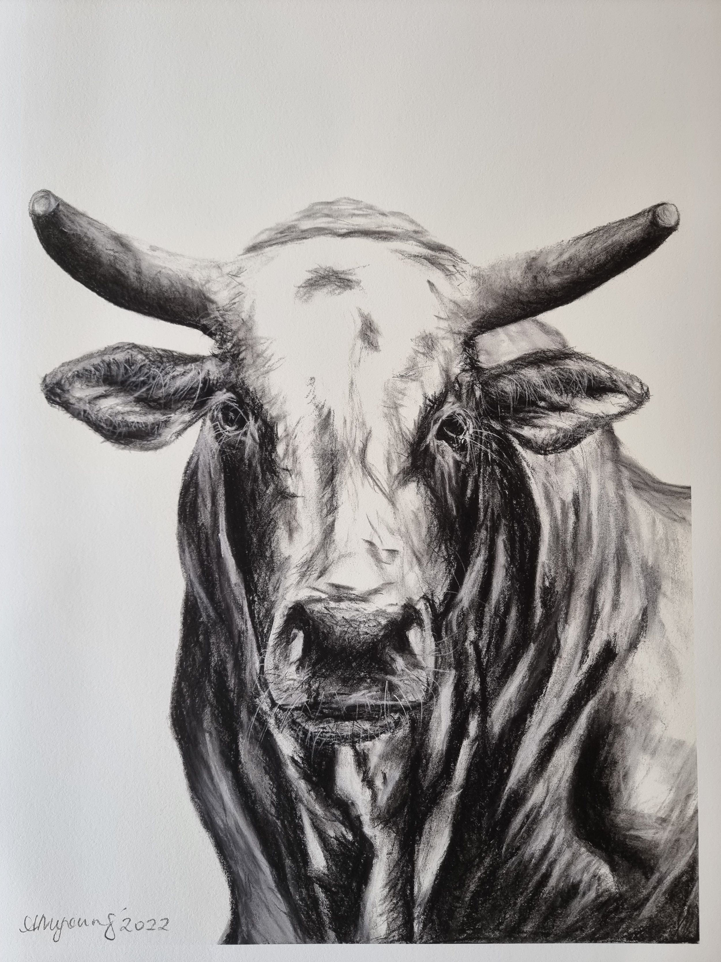 Black and white drawing of a buffalo with large horns, detailed face, and fur texture.