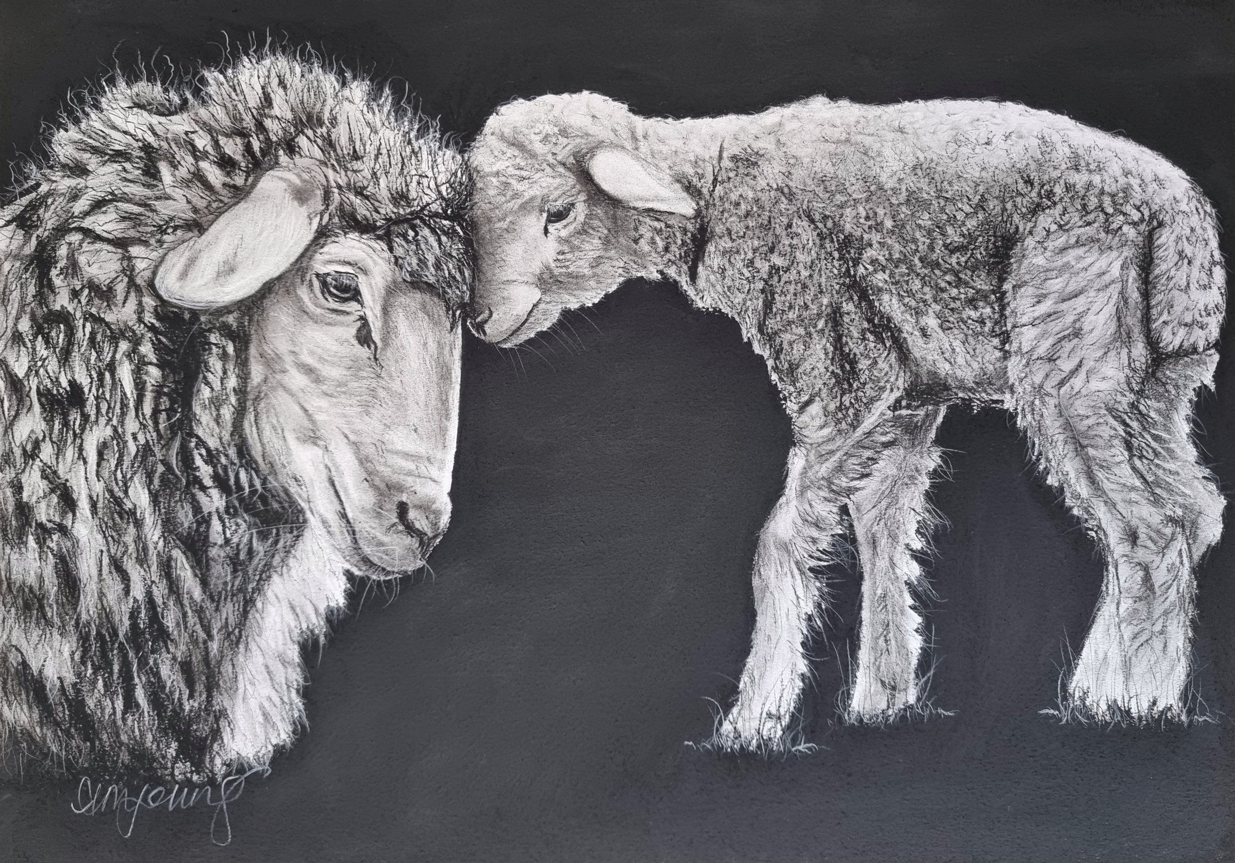 Drawing of a lion and a lamb touching noses against a dark background.